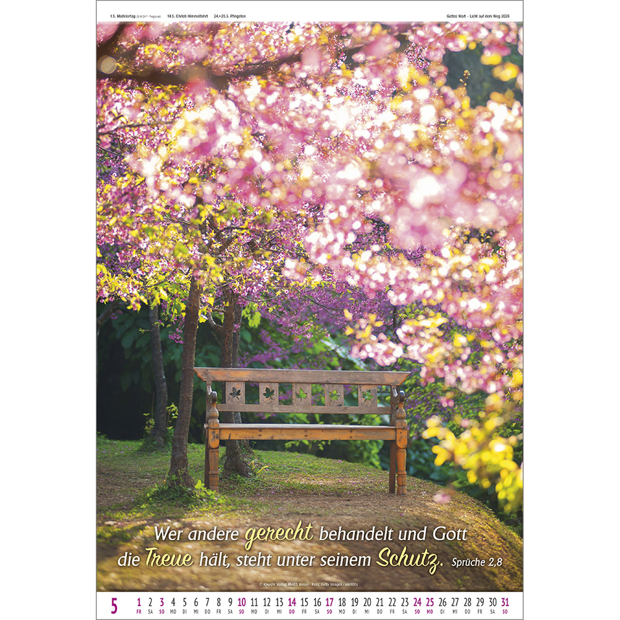 Wandkalender - Gottes Wort - Licht auf dem Weg 2026