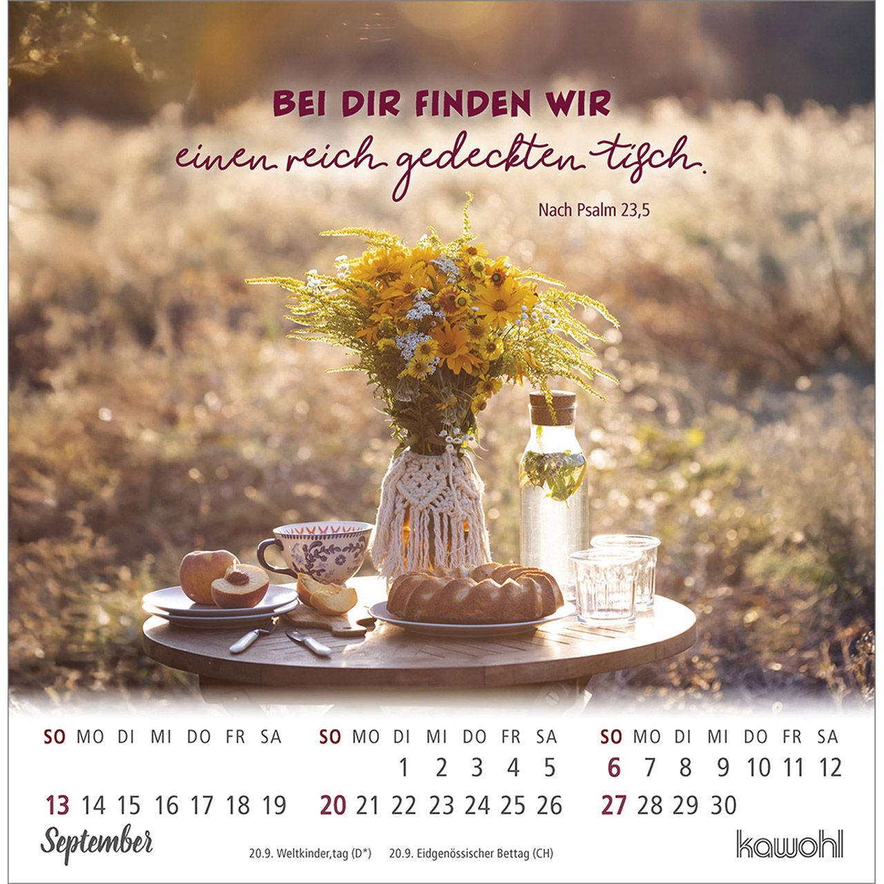 Postkartenkalender - Ankommen & leben 2026