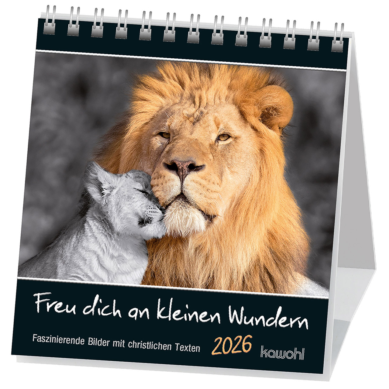 Freu dich an kleinen Wundern 2026 Tischkalender - Freu dich an kleinen Wundern 2026