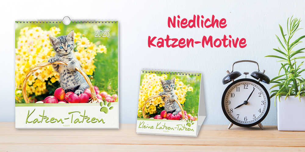 Banner mit Kalendern mit niedlichen Katzenmotiven, einer Uhr und Pflanzen auf einem Holzregal.