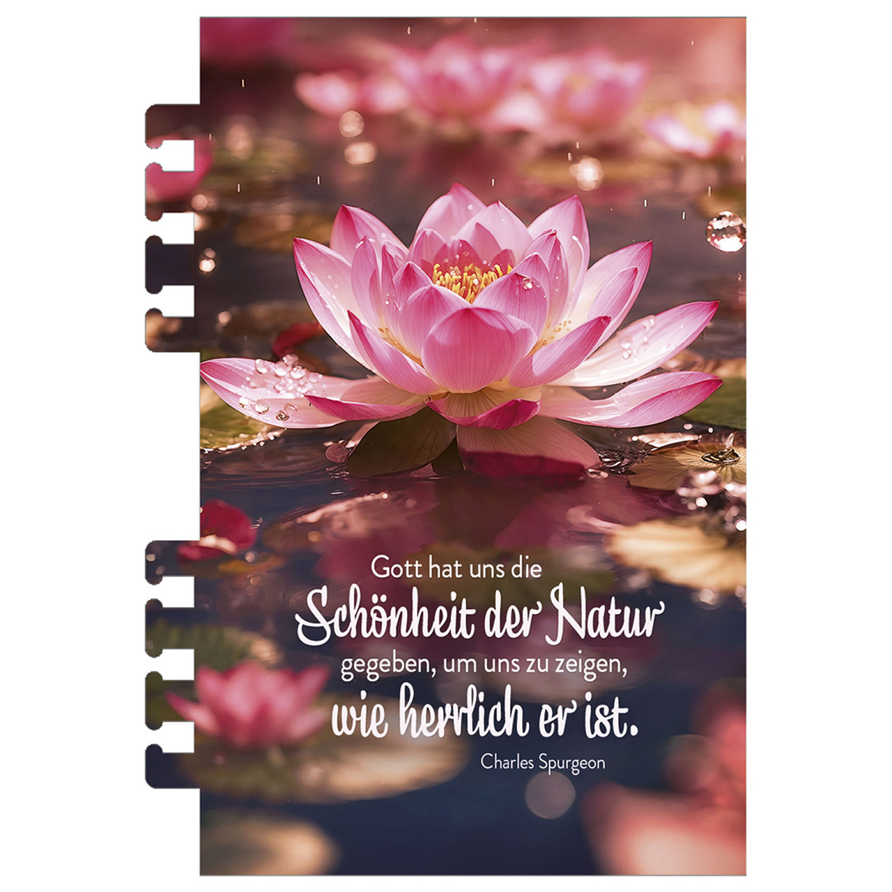 Terminkalender - Tage voller Licht 2026
