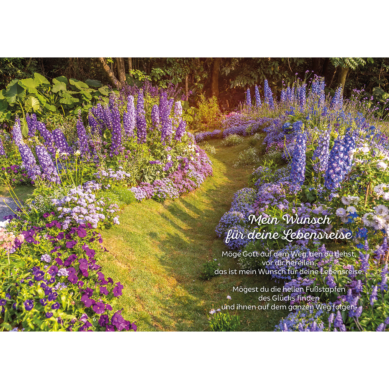 Grußheft - Sei behütet im neuen Lebensjahr - Vase Fenster Fensterbank Blumen