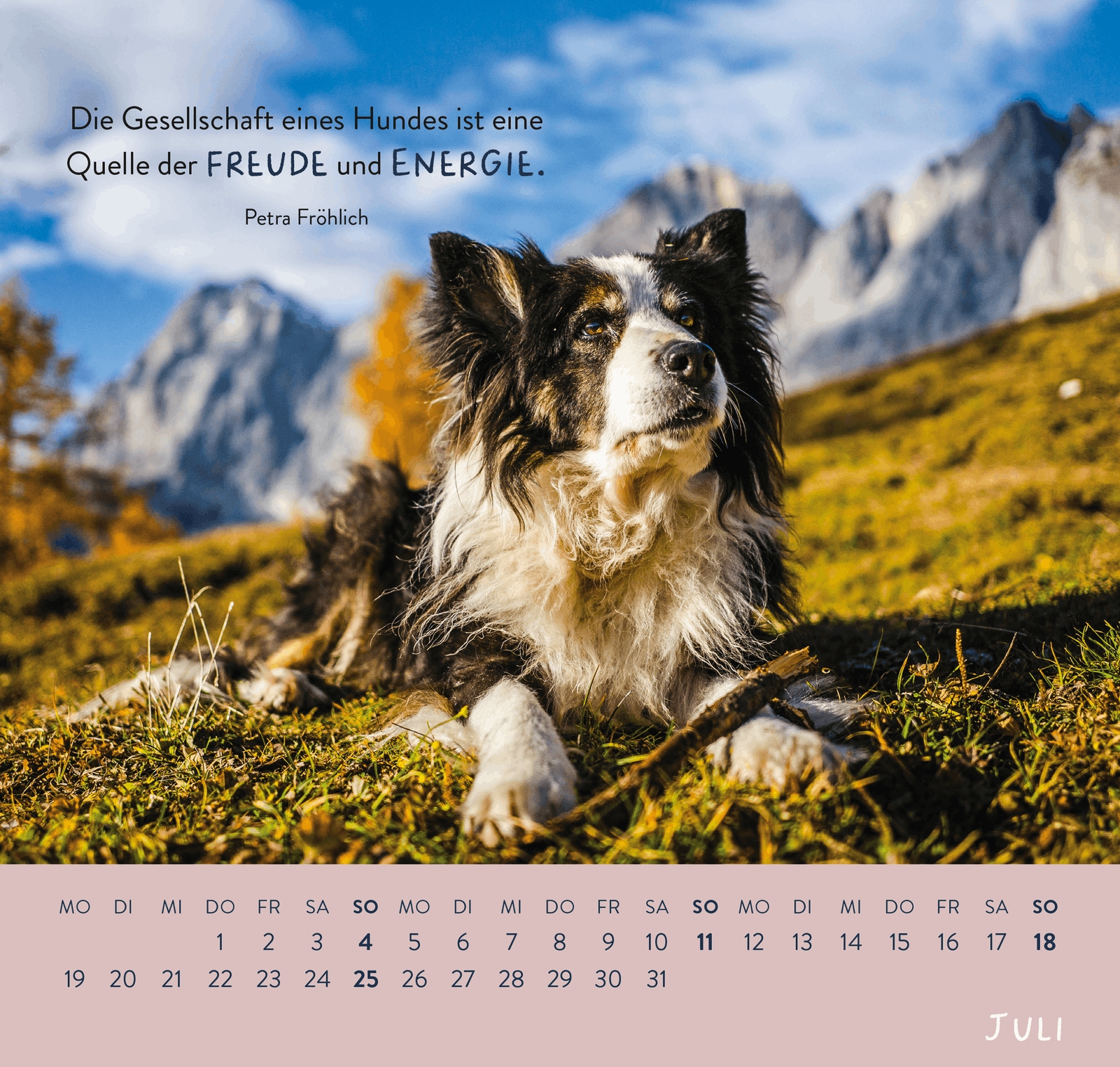 Wandkalender - Für Hundefreunde 2027
