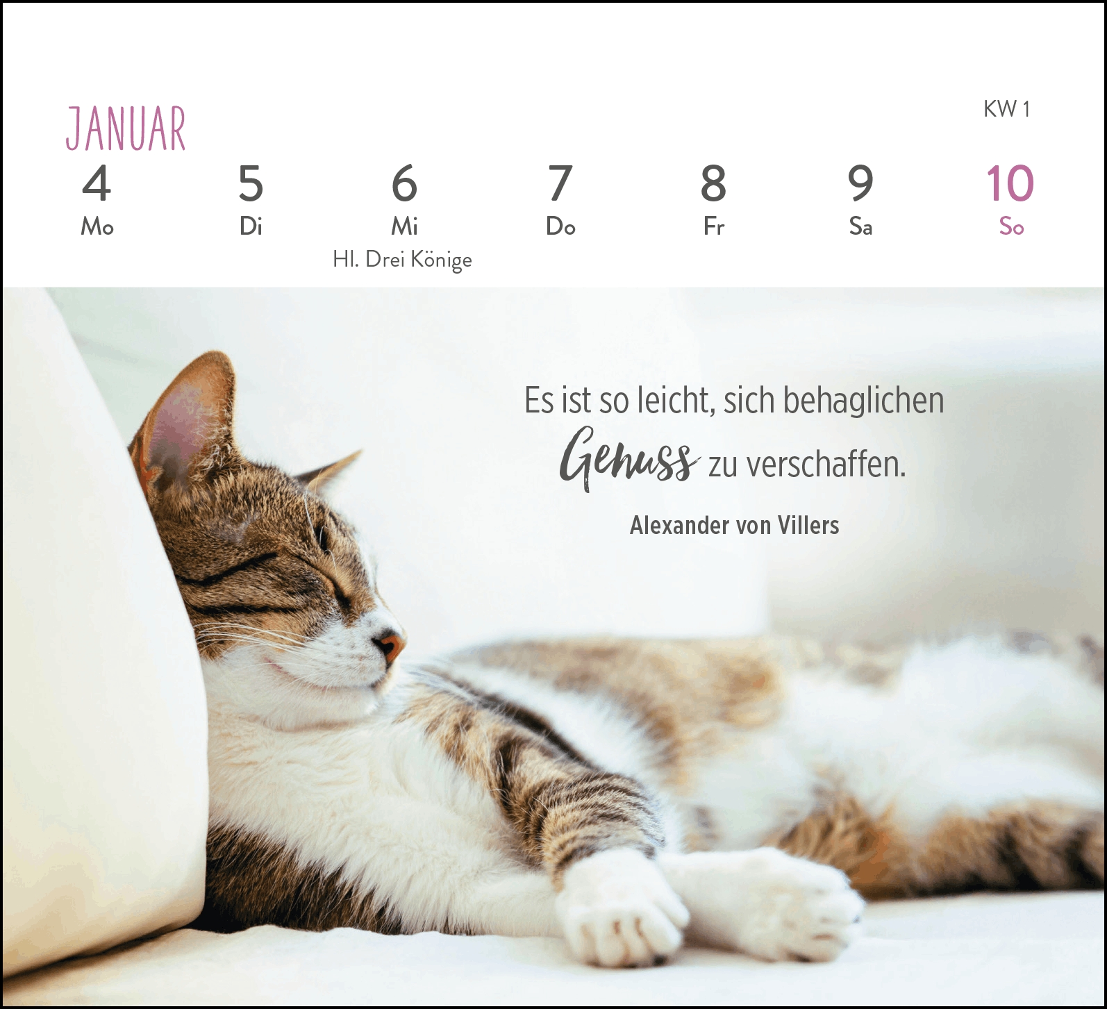 Aufstellkalender - Für Katzenfreunde 2027