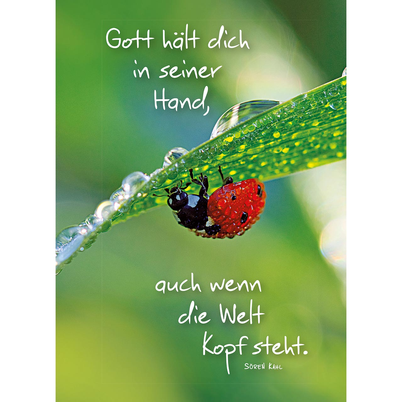 Gott hält dich