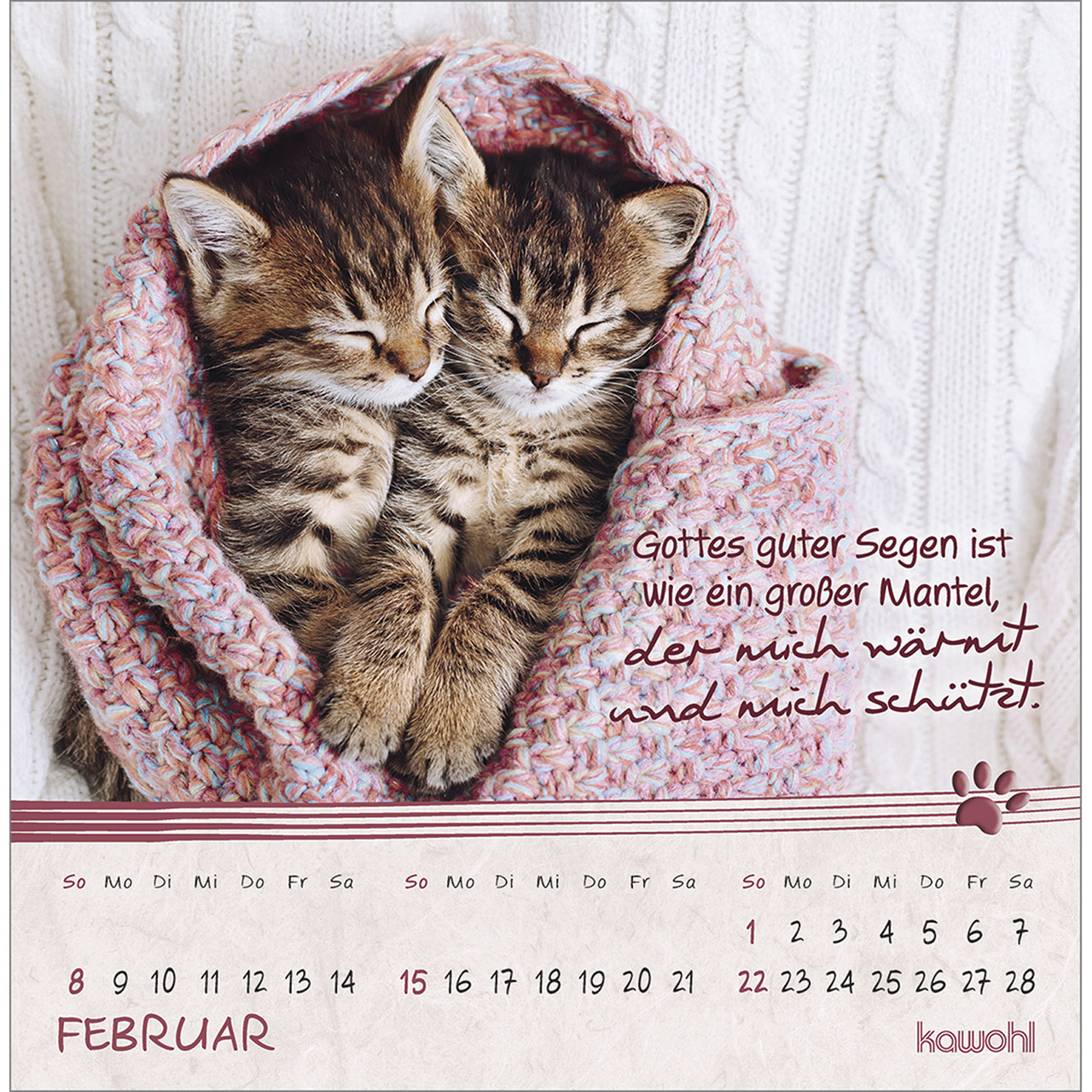 Postkartenkalender - Kleine Katzen-Tatzen 2026