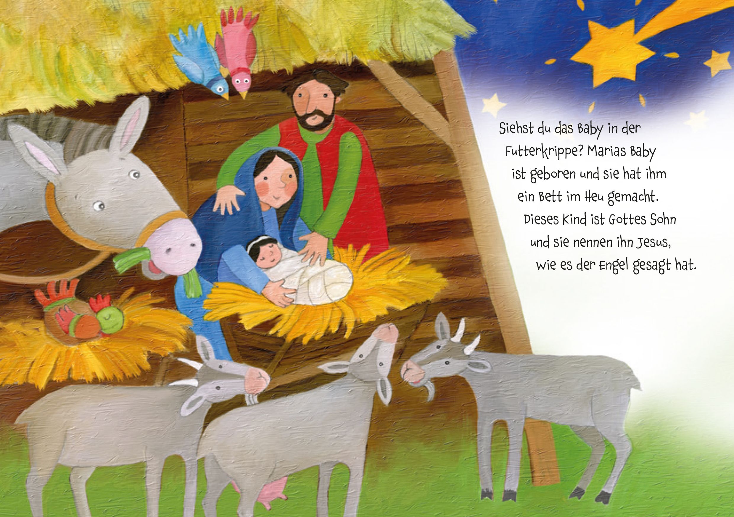 Buch - Weihnachten für dich - Maria Josef Krippe Jesus Ochse Esel Schaft
