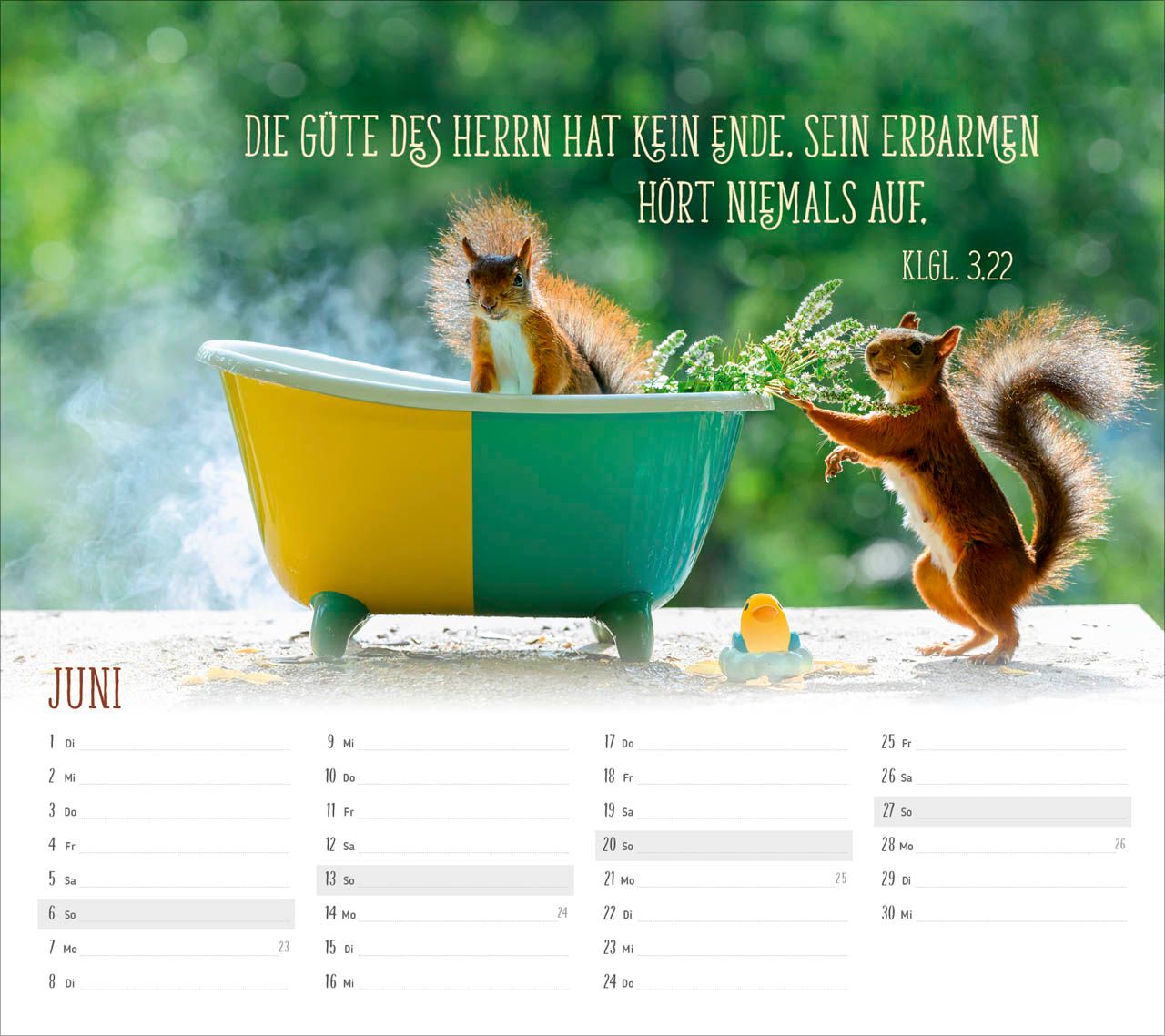 Tischkalender - Du sorgst für mich 2027