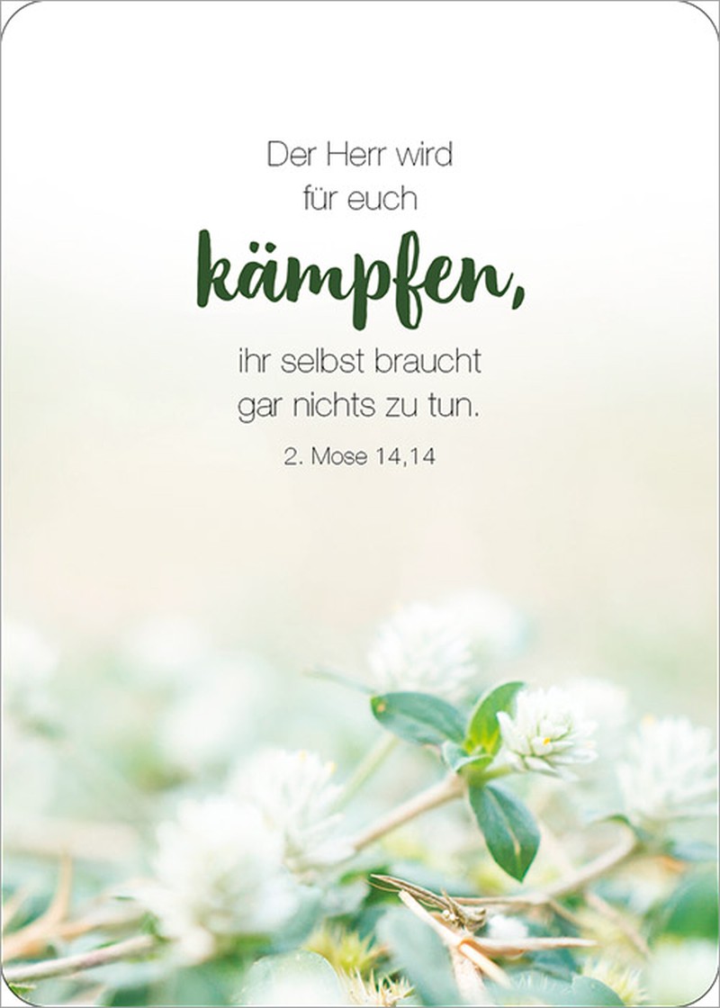 Karten-Box - Königstochter - Blechdose