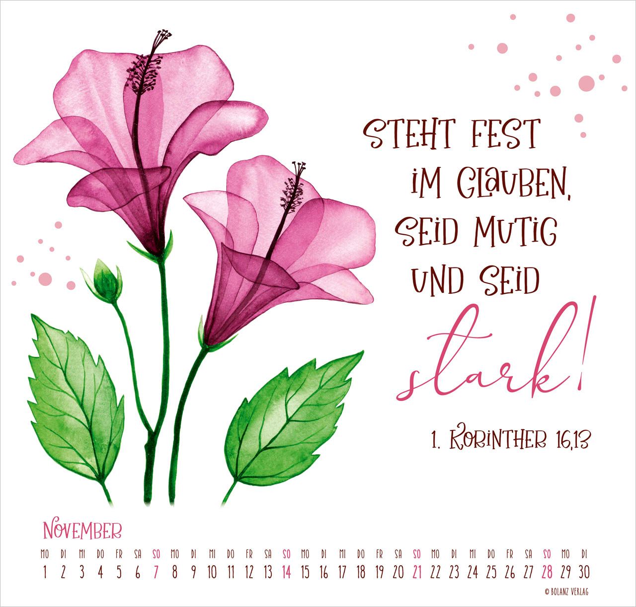 Posterkalender - Gesegnet Tag für Tag 2027