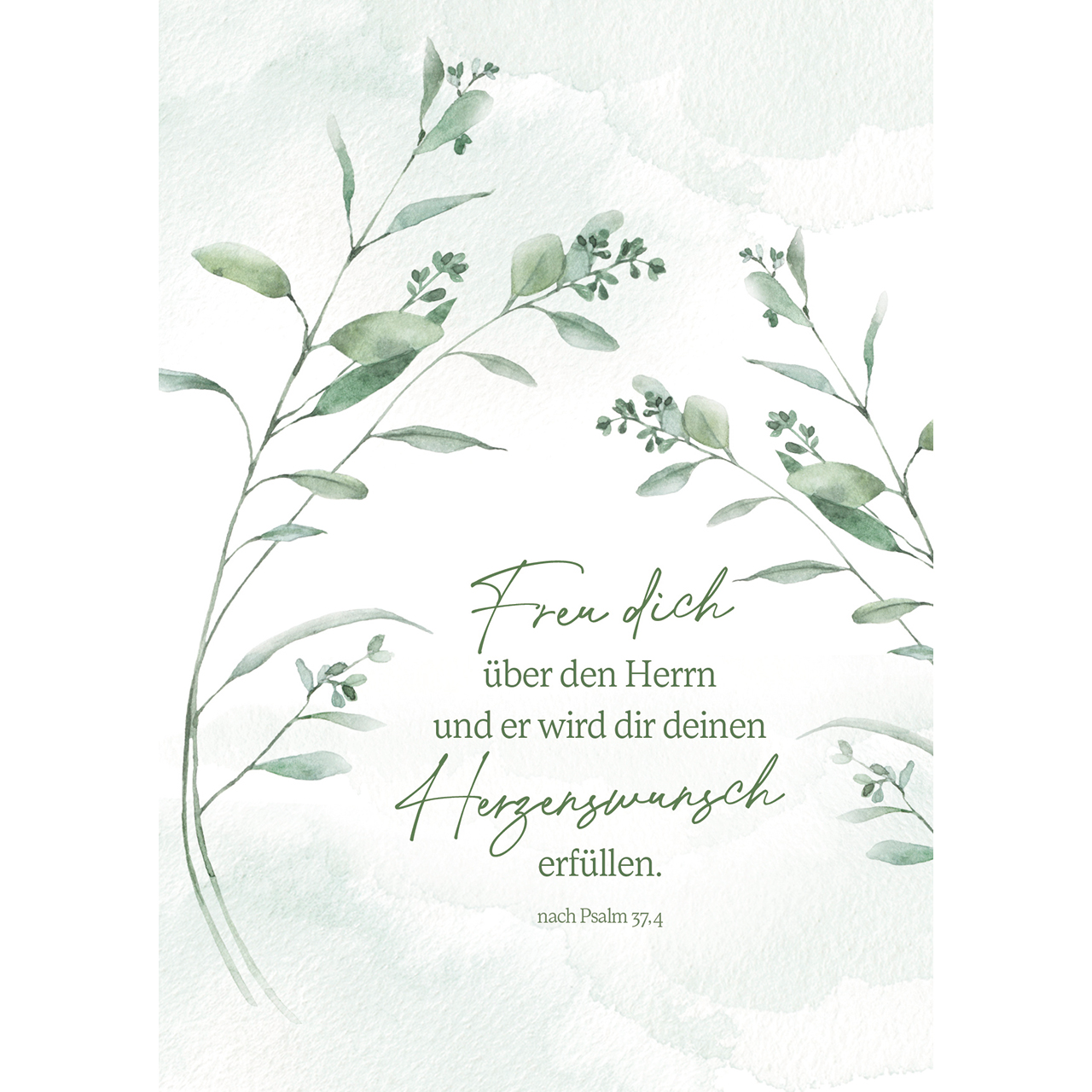 Postkarten - Freu dich über den Herrn - Aquarell Eukalyptus Blumen