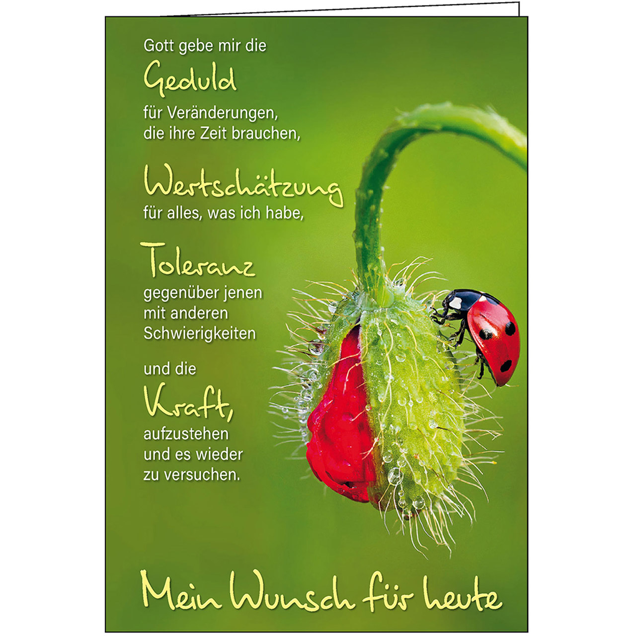 Gott gebe mir die Geduld