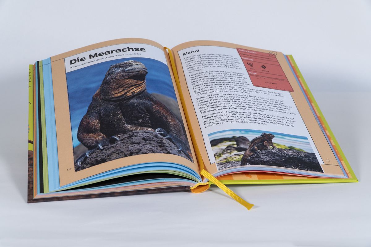 Buch - Tierisch gute Momente mit Gott