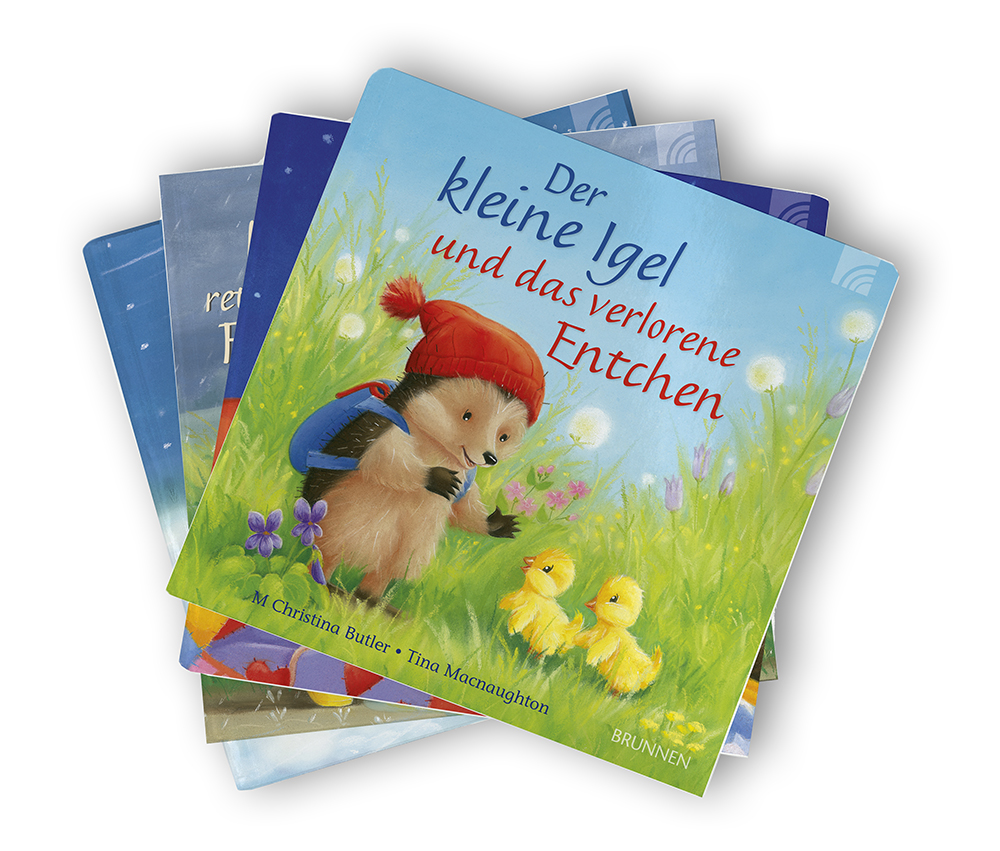 Buch - Mit dem kleinen Igel und seinen Freunden durch die Jahreszeiten