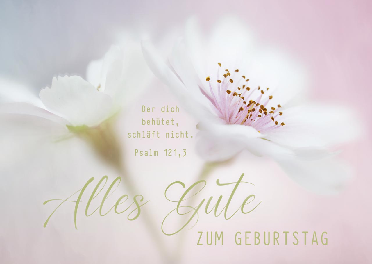 Postkarten - Postkarte Psalm 121,3 (12 Ex.)