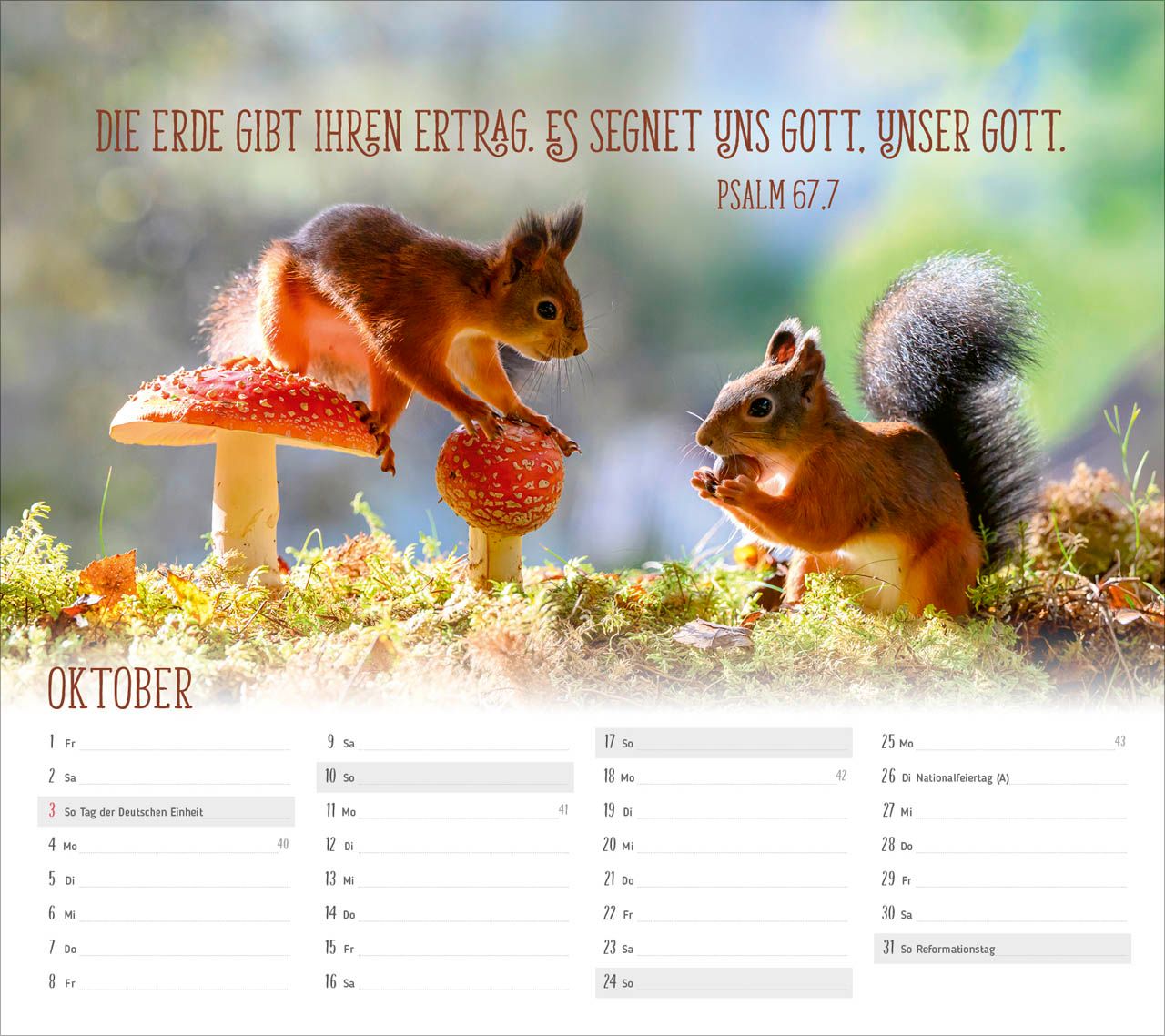 Tischkalender - Du sorgst für mich 2027