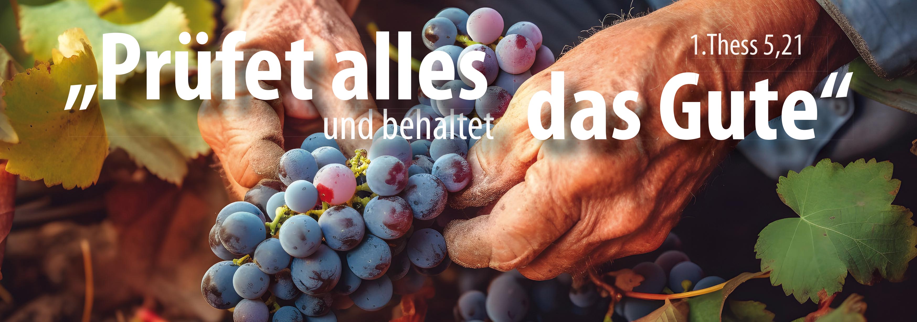 Lesezeichen 10 Ex. 'Prüfet alles und behaltet das Gute'     1. Thessalonicher 5,