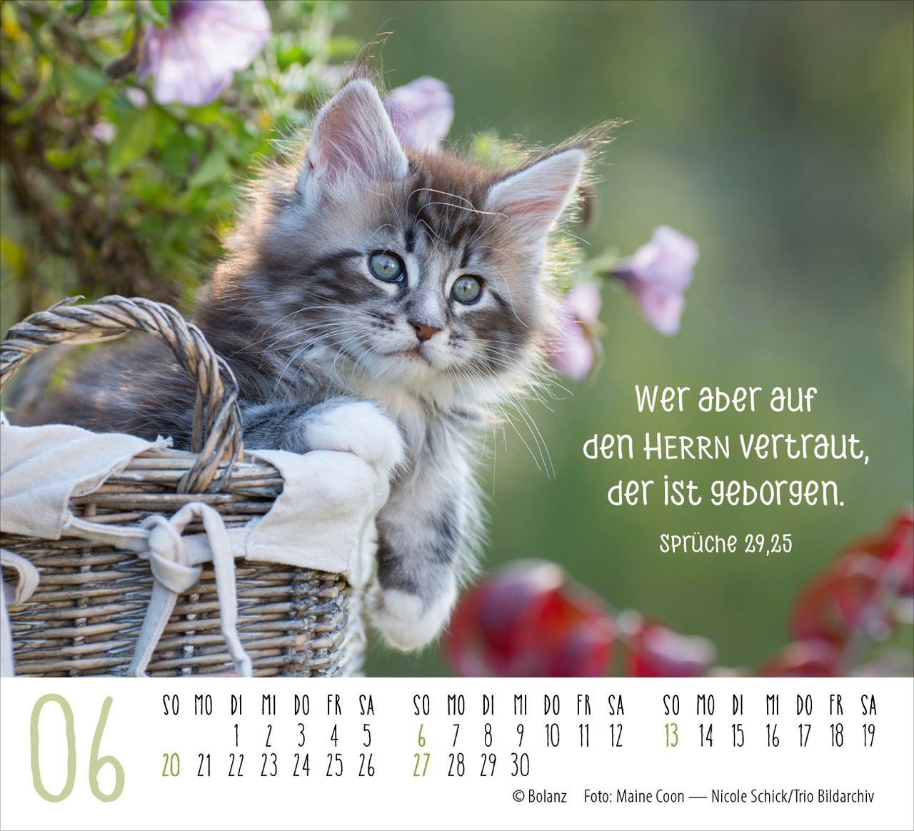 Aufstellkalender - Katzen 2027