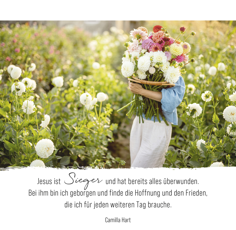 Aufstellbuch - Momente der Hoffnung
