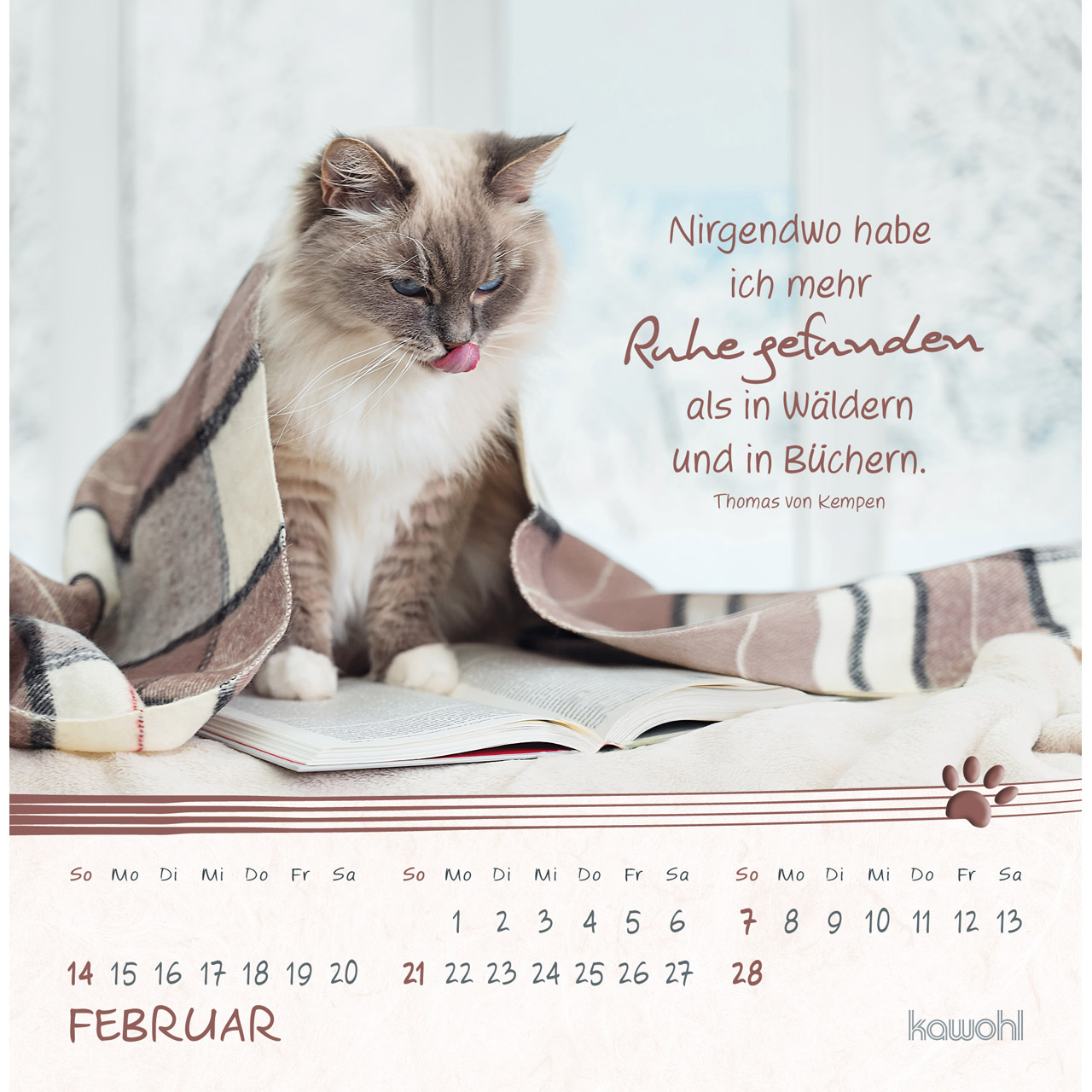 Postkartenkalender - Kleine Katzen-Tatzen 2027