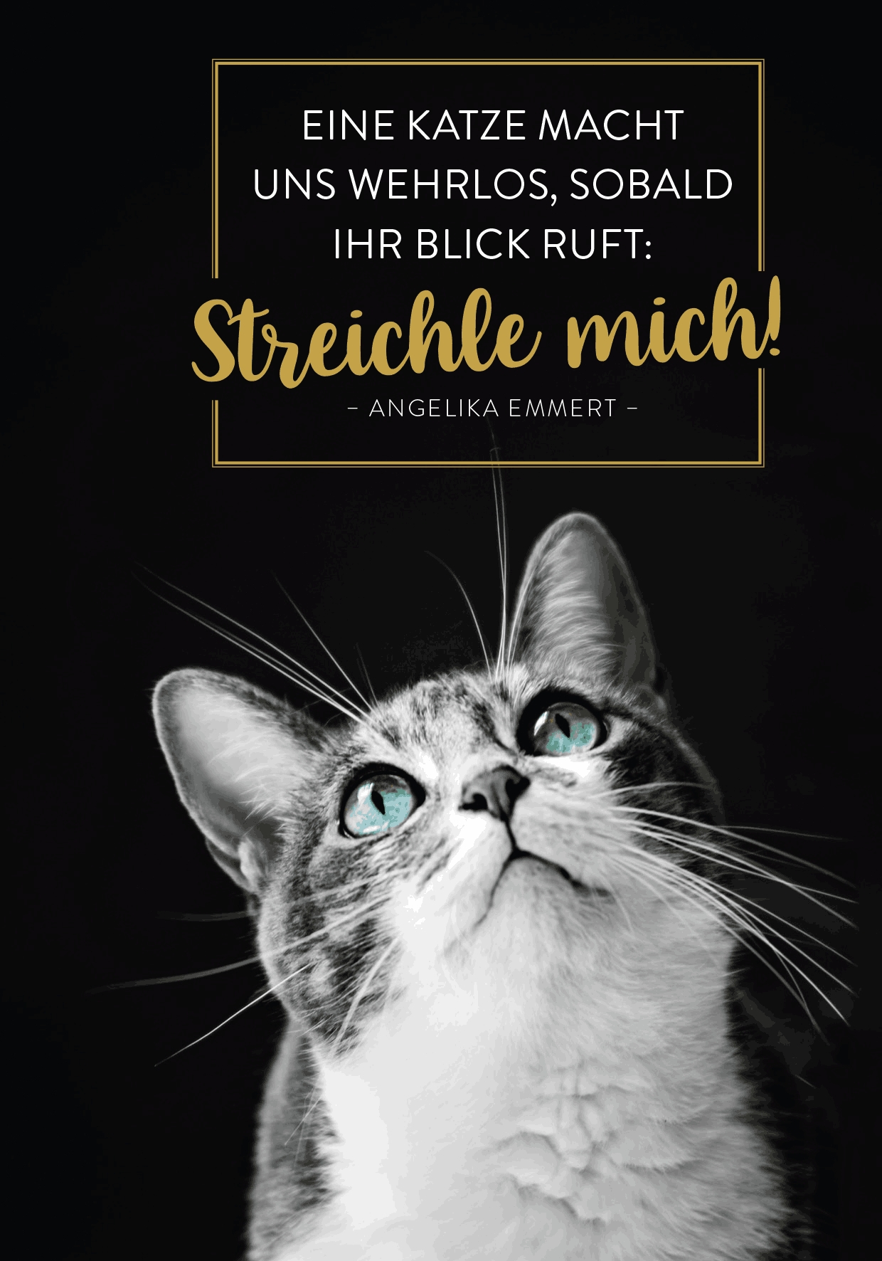 Buchkalender - Für Katzenfreunde 2027