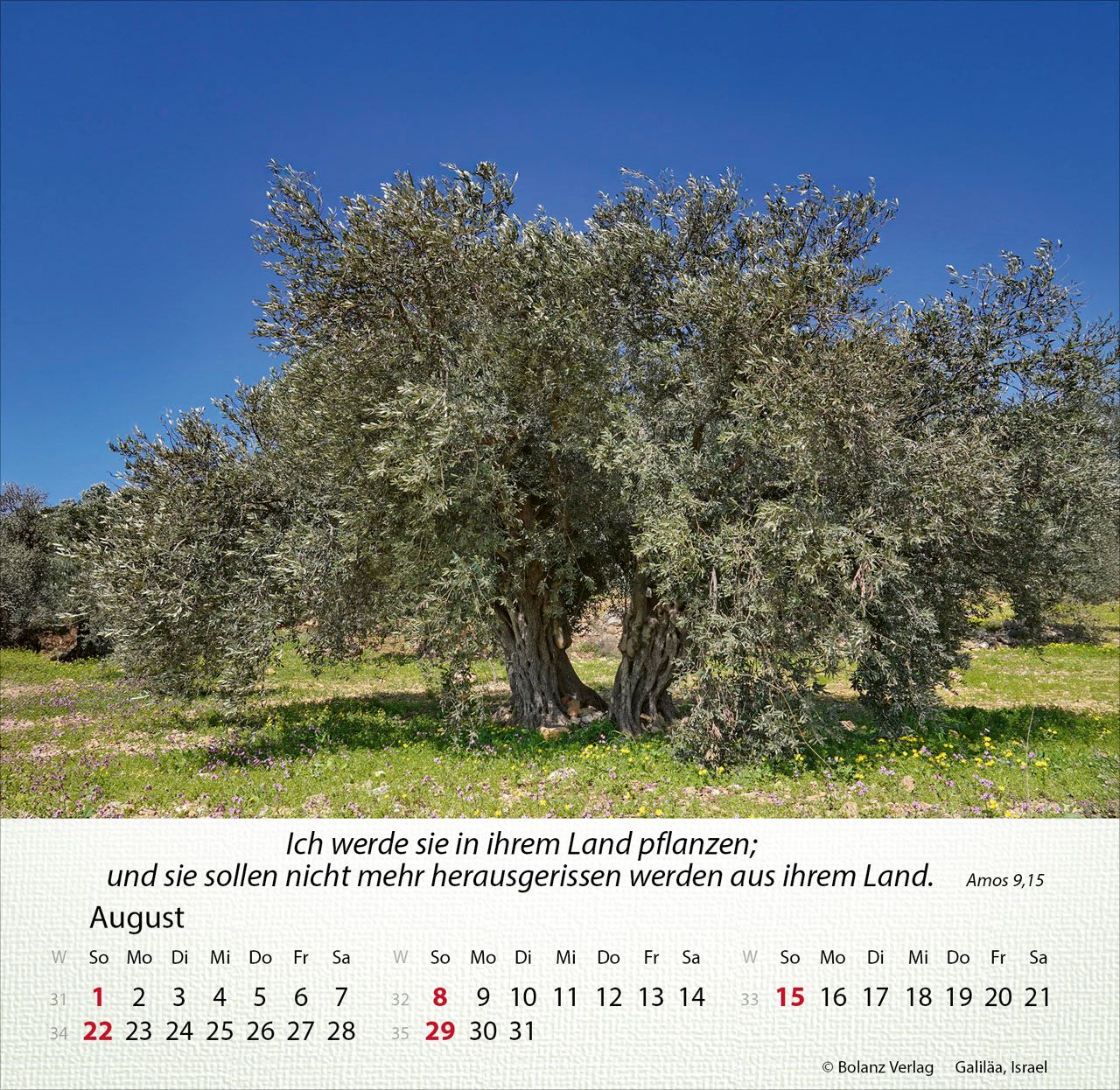 Tischkalender - Israel Shalom 2027