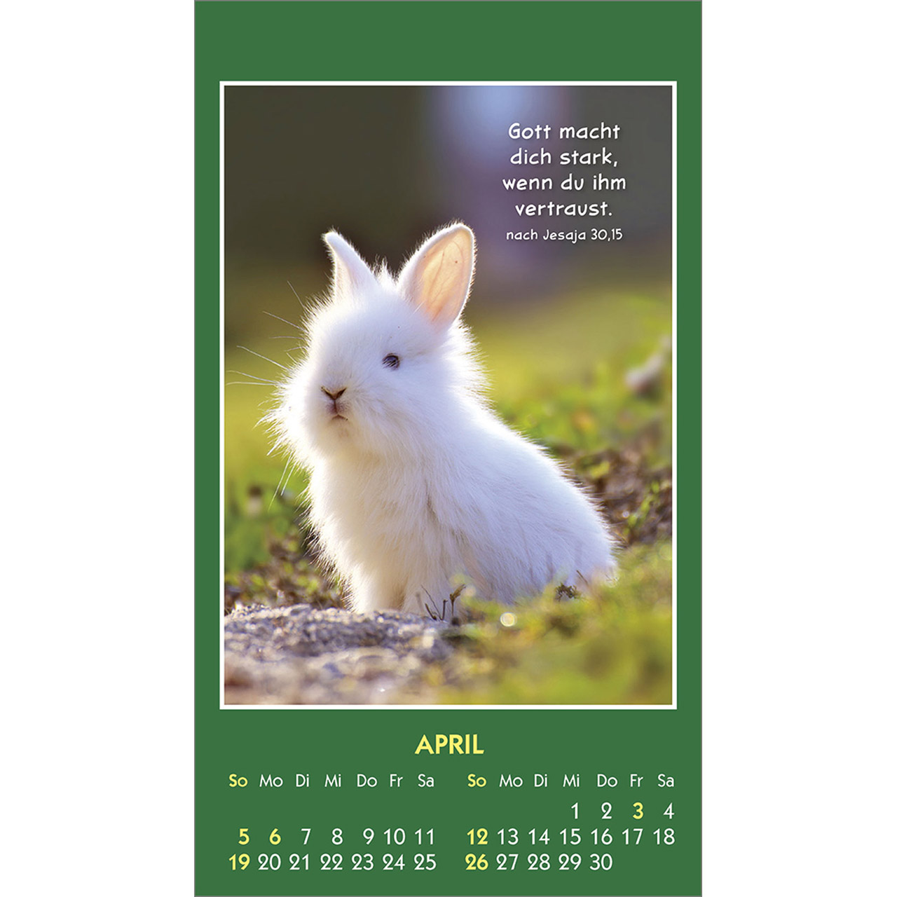 Aufkleberkalender - Hallo Du 2026 - Kaninchen Hase