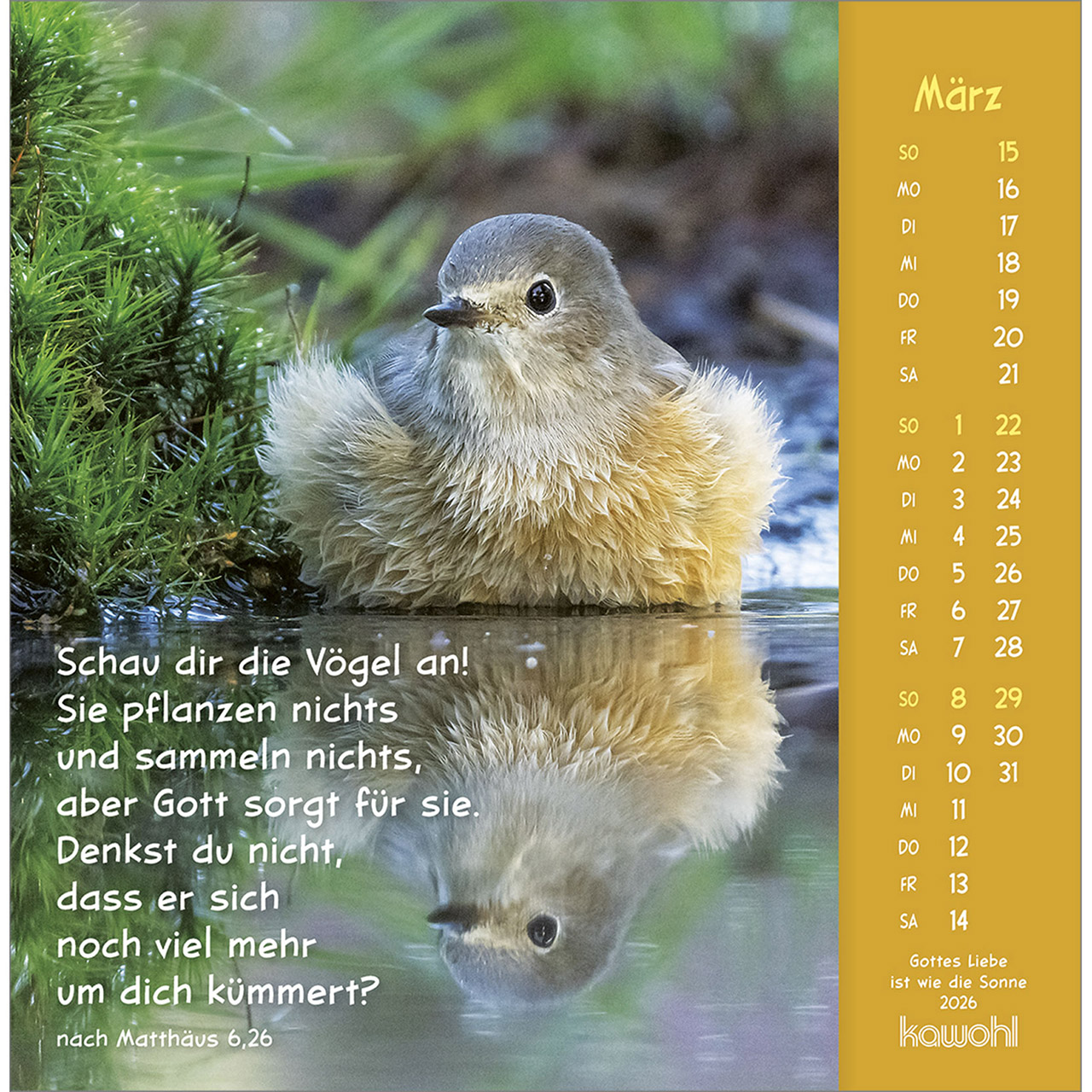 Postkartenkalender - Gottes Liebe ist wie die Sonne 2026 - Hase Kaninchen weiß