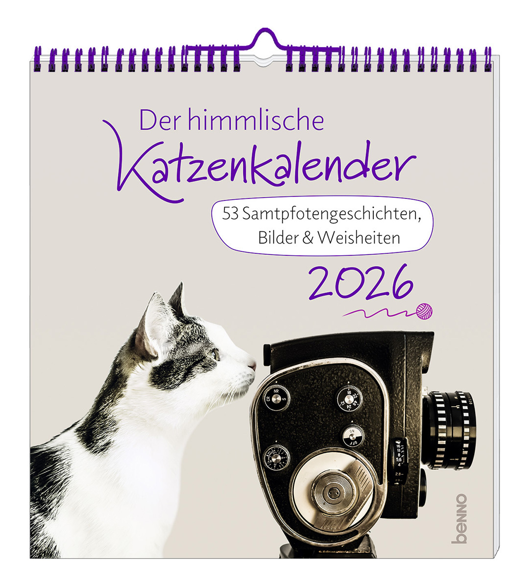 Aufstellkalender - Der himmlische Katzenkalender 2026 - Katze Kamera