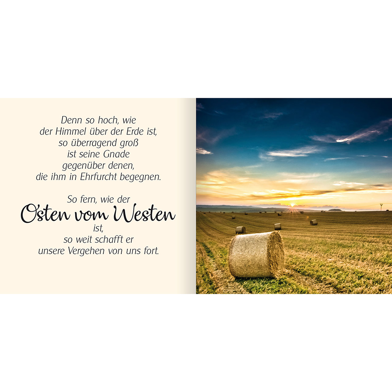 Geschenkbuch - Ich schenke dir - Psalm 103 - Sonnenblume Sonnenblumenfeld