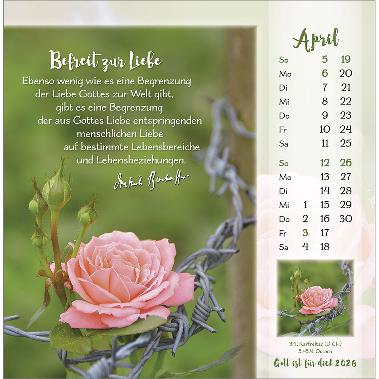 Postkartenkalender - Gott ist für dich 2026