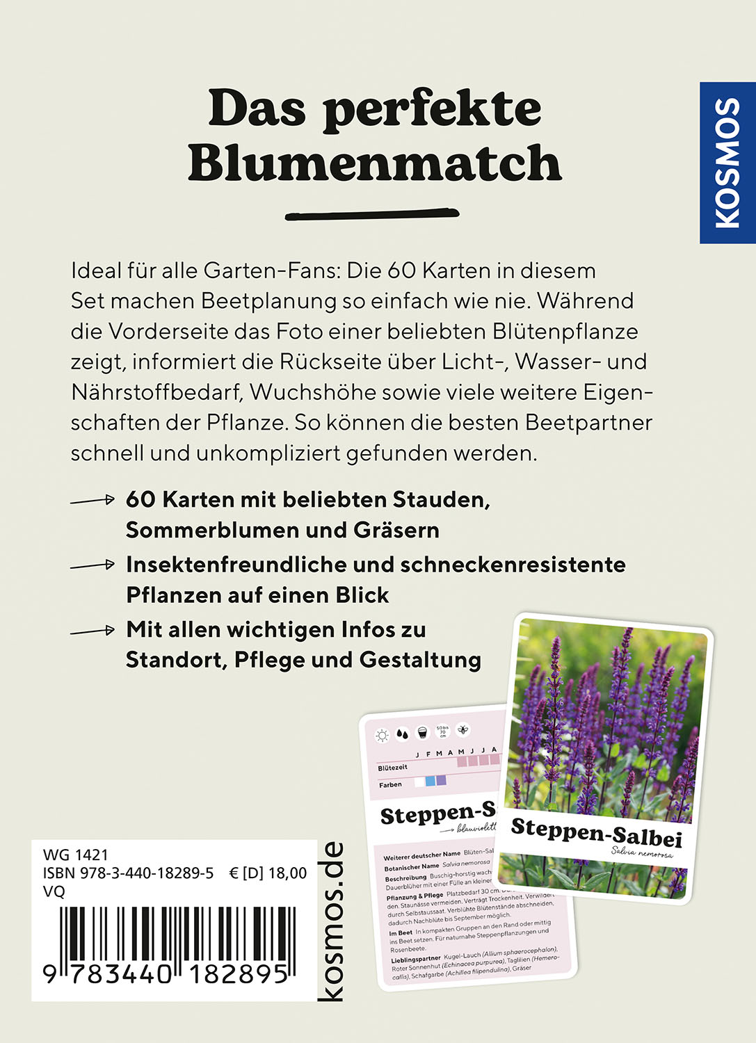 Karte - Lilie liebt Sonnenhut