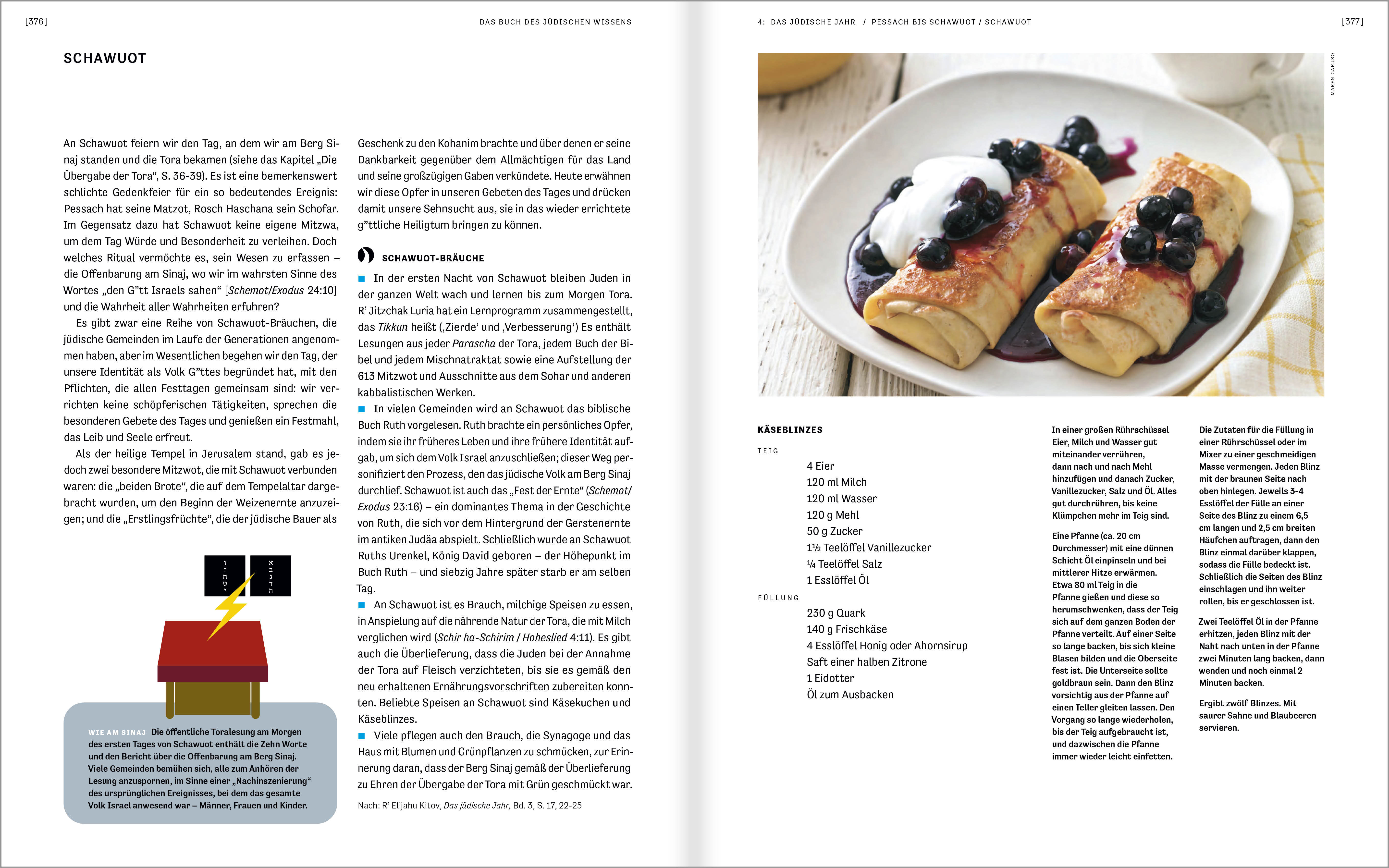 Buch - Das Buch des jüdischen Wissens