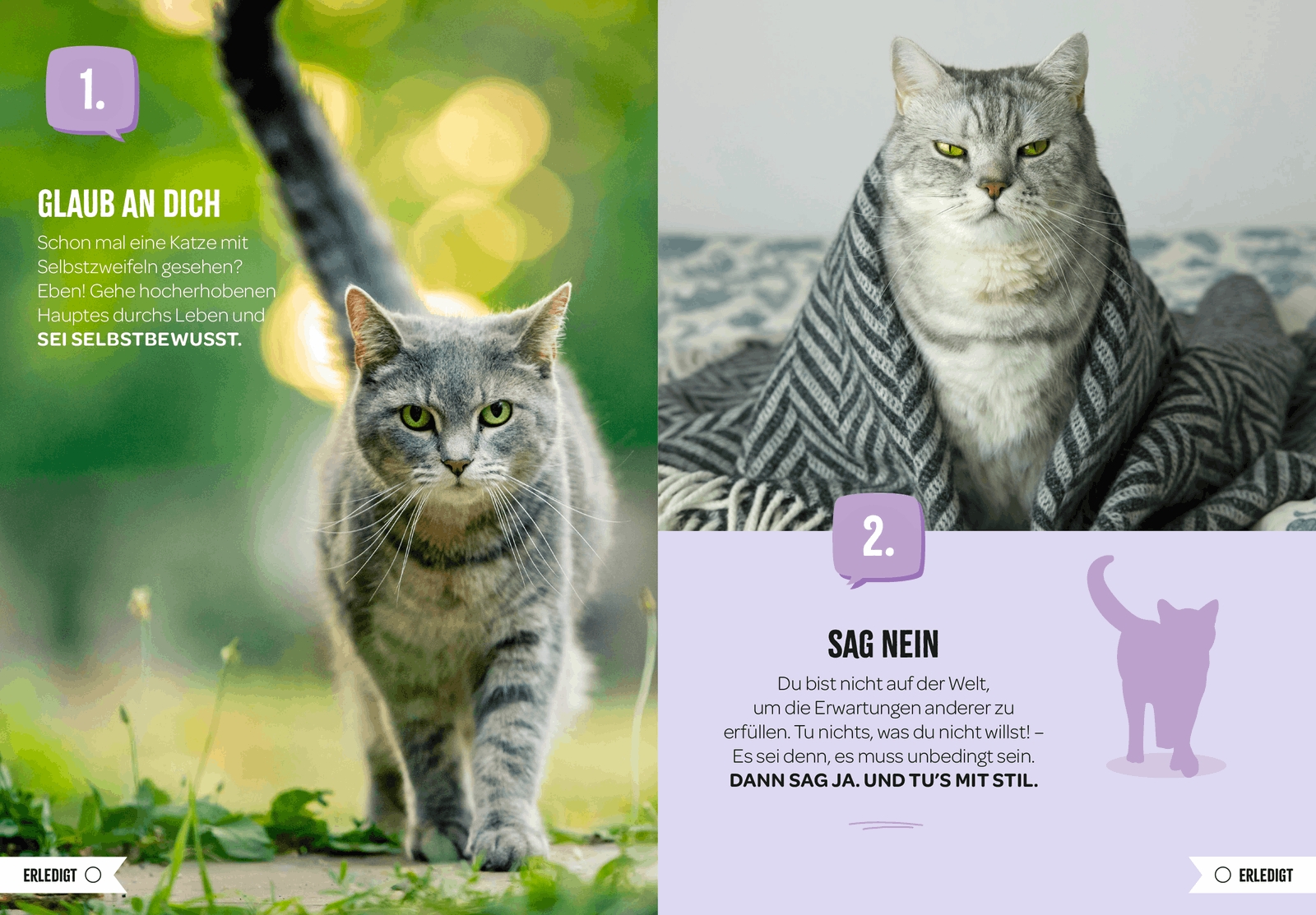 Geschenkbuch - 100 Dinge, die man von einer Katze lernen kann