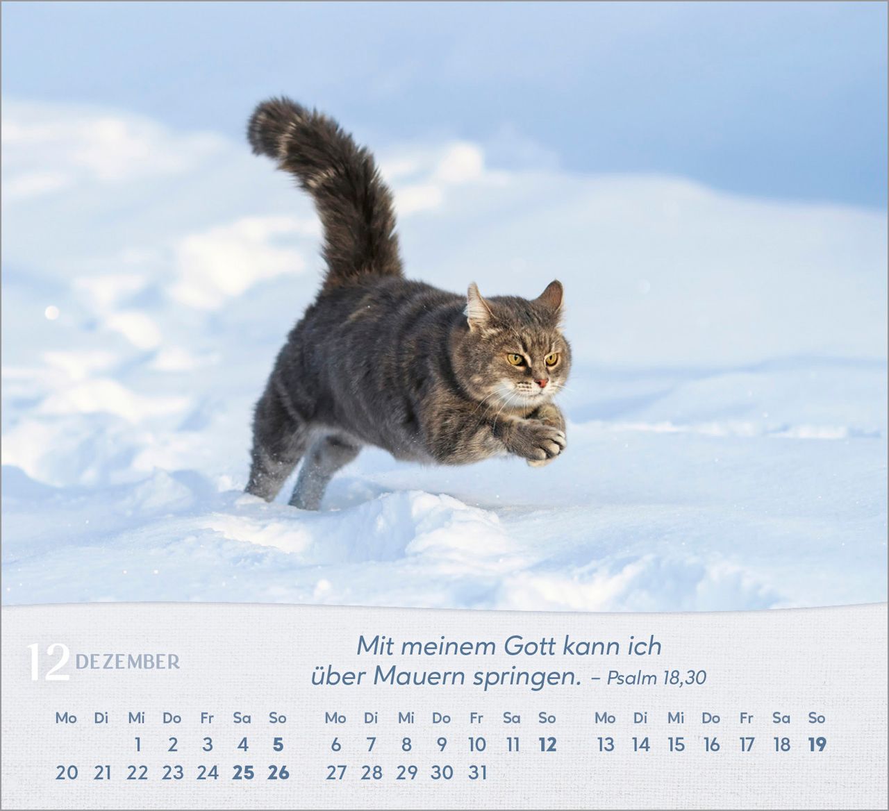 Tischkalender - Katzen 2027