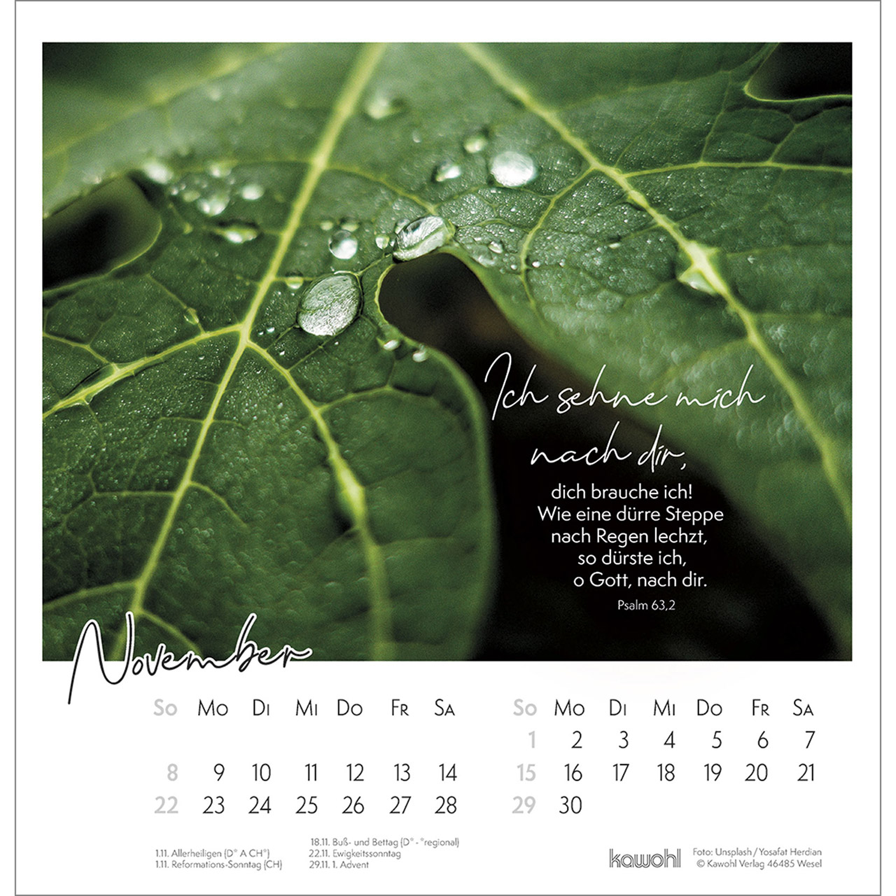 Wandkalender - Auszeit im Grünen 2026