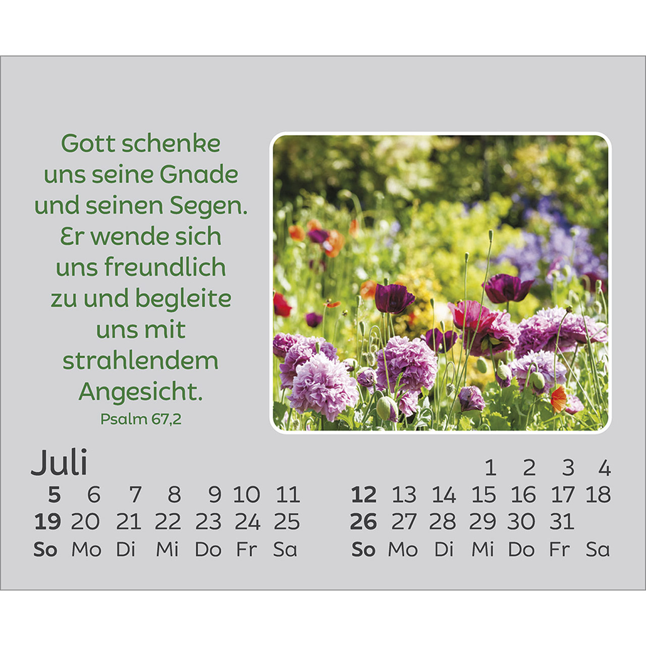 Tischkalender - Freude für jeden Tag 2026