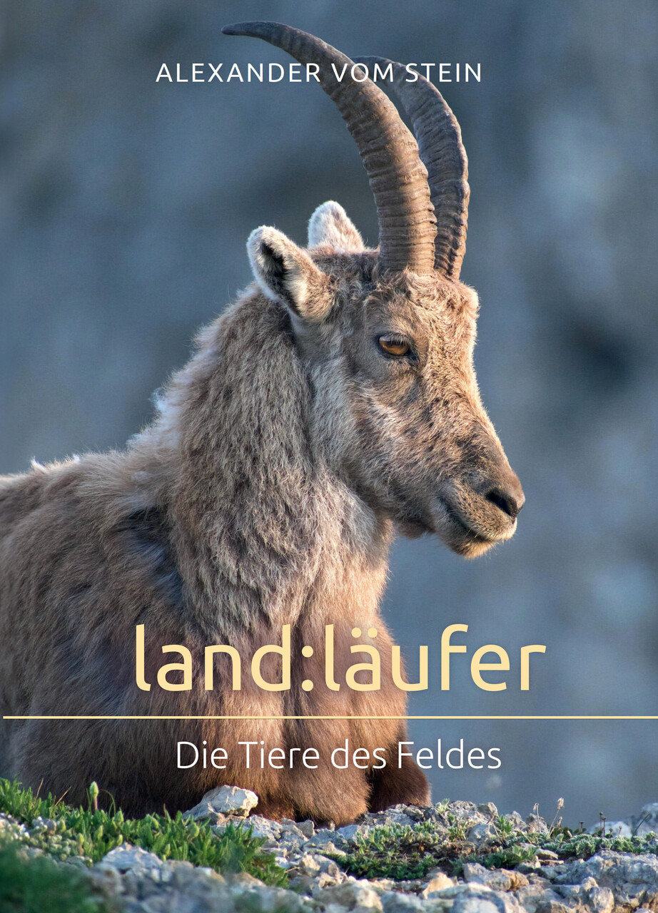 land:läufer [2]
