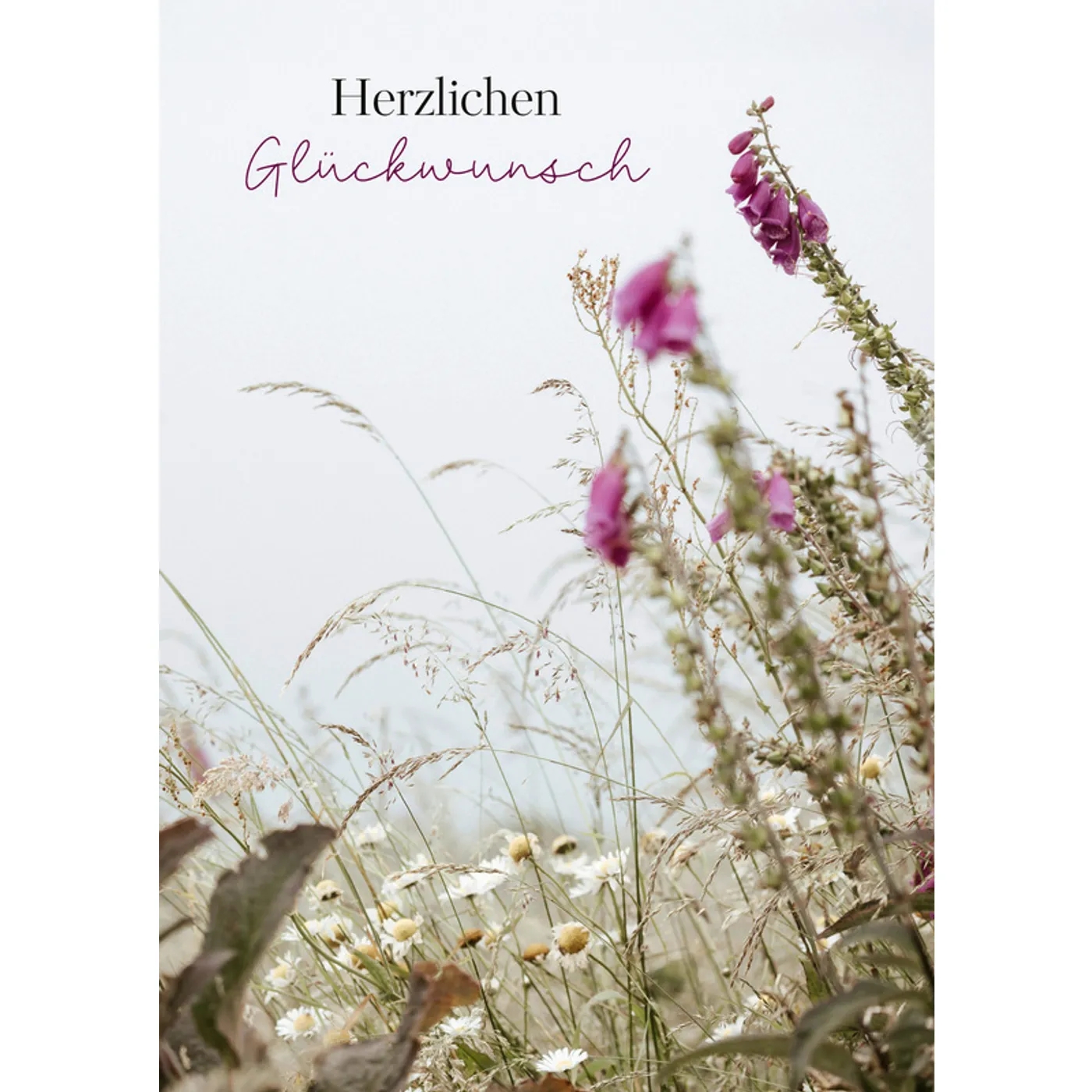 Postkarten - Kleine Grüße, große Freude