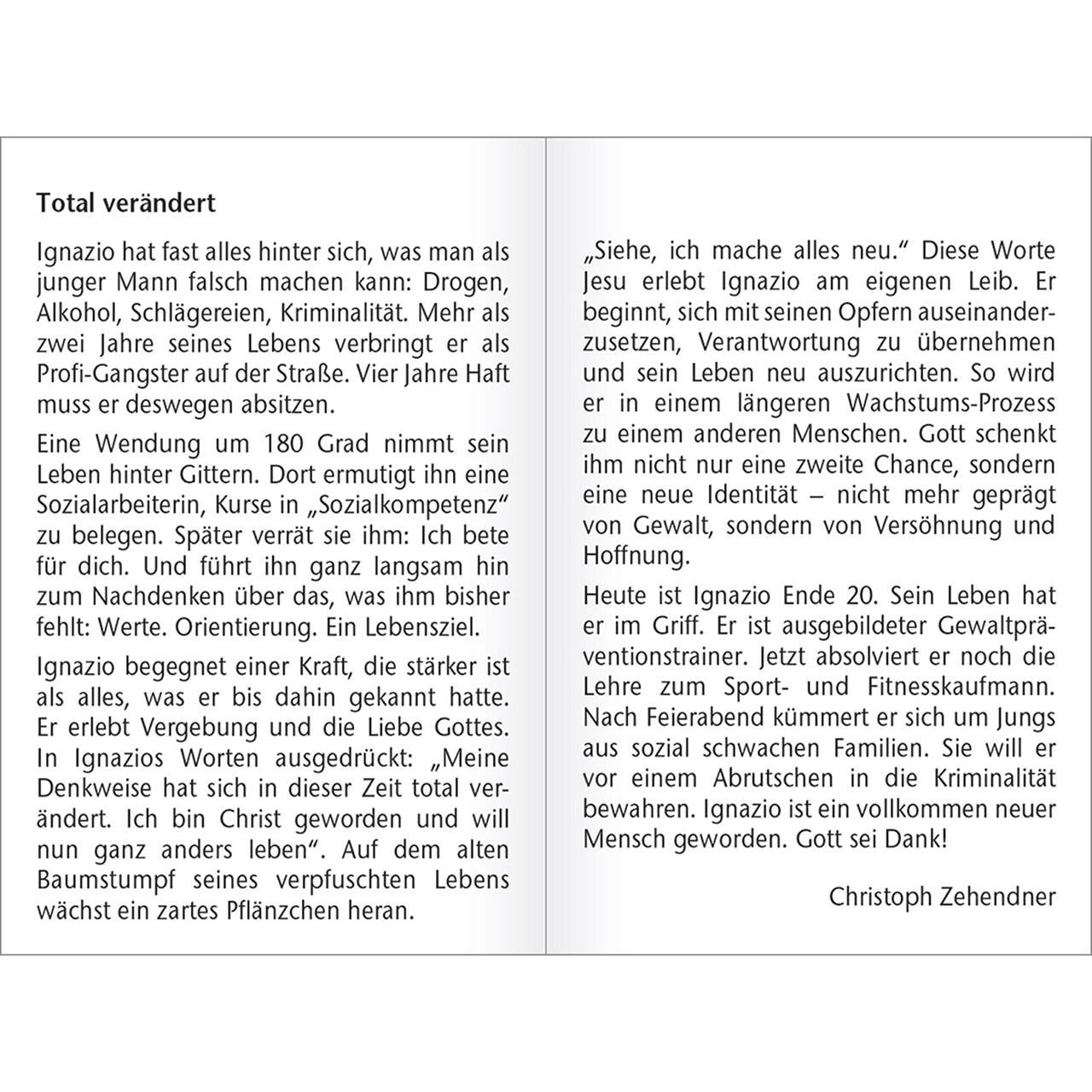 Spielkartenkalender - Doppel-Spielkarten-Kalender 2026 - Pflanze Trieb Sprössling grün jung Erde