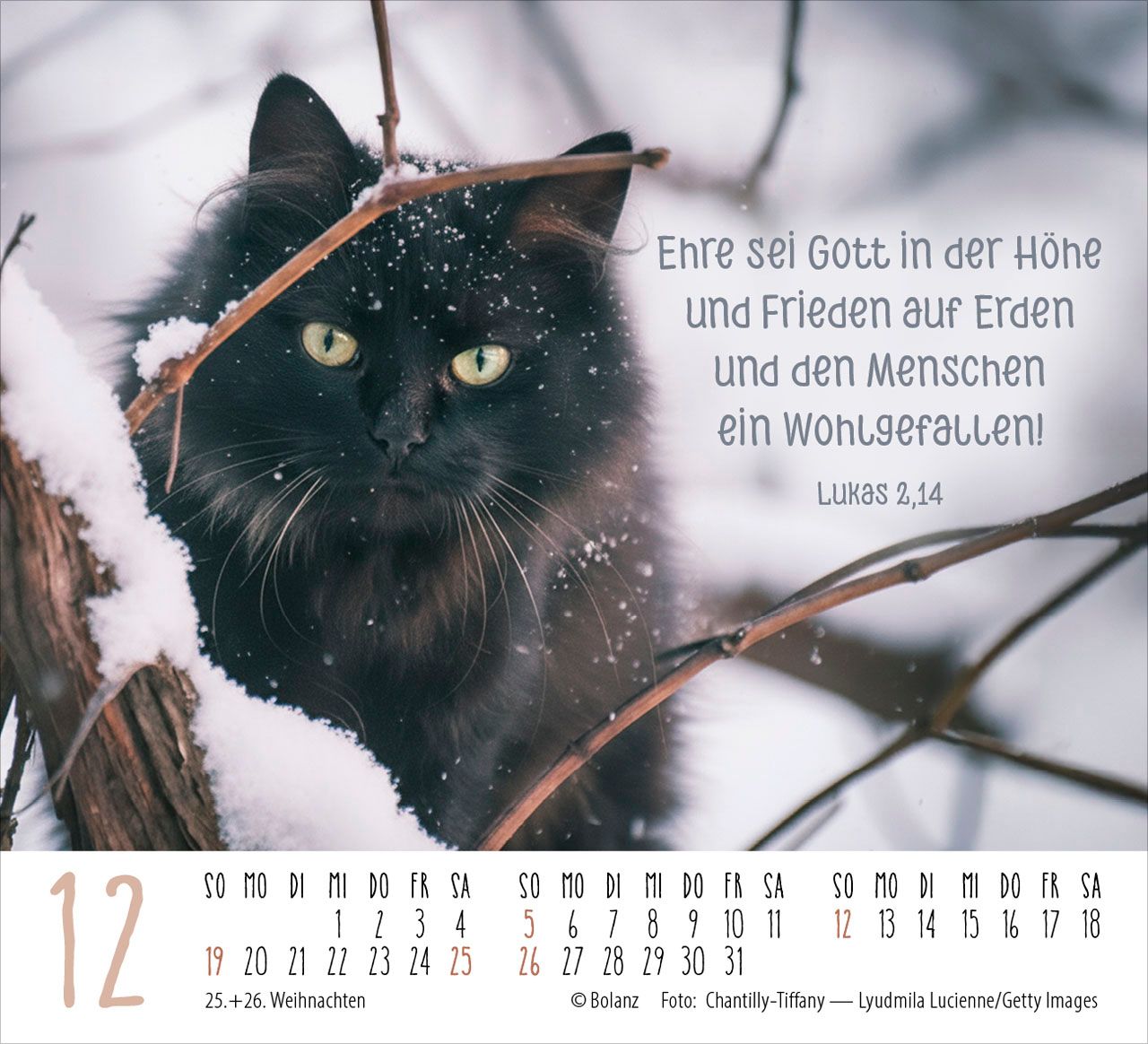 Aufstellkalender - Katzen 2027
