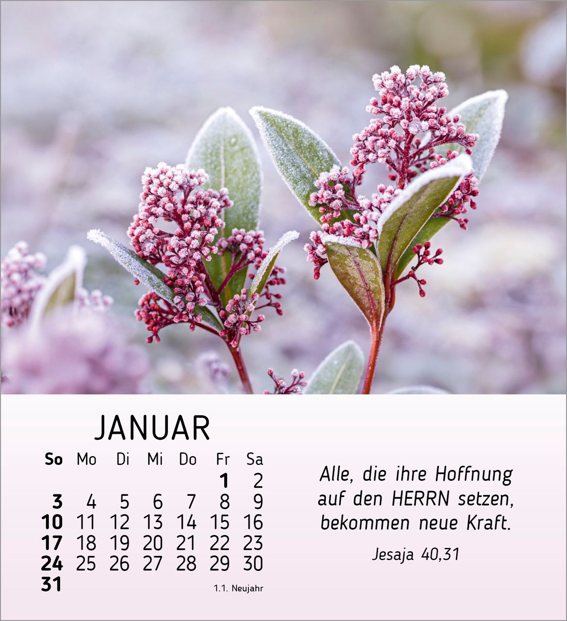 Tischkalender - Ich wünsch dir Freude 2027