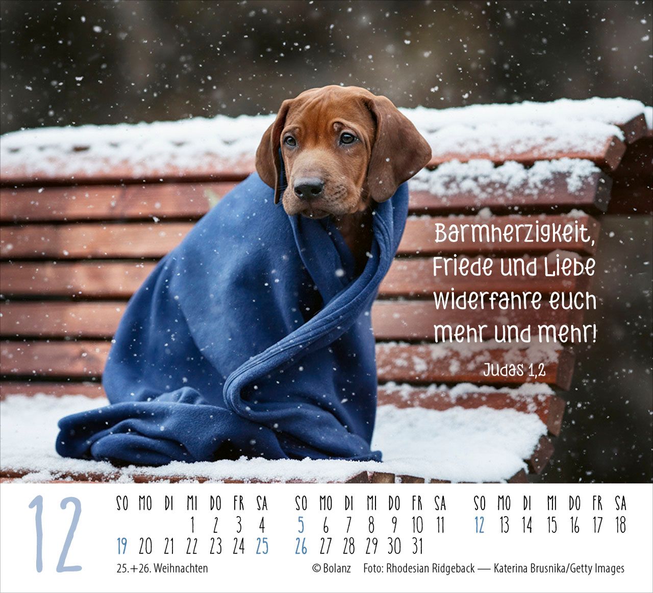 Aufstellkalender - Hunde 2027
