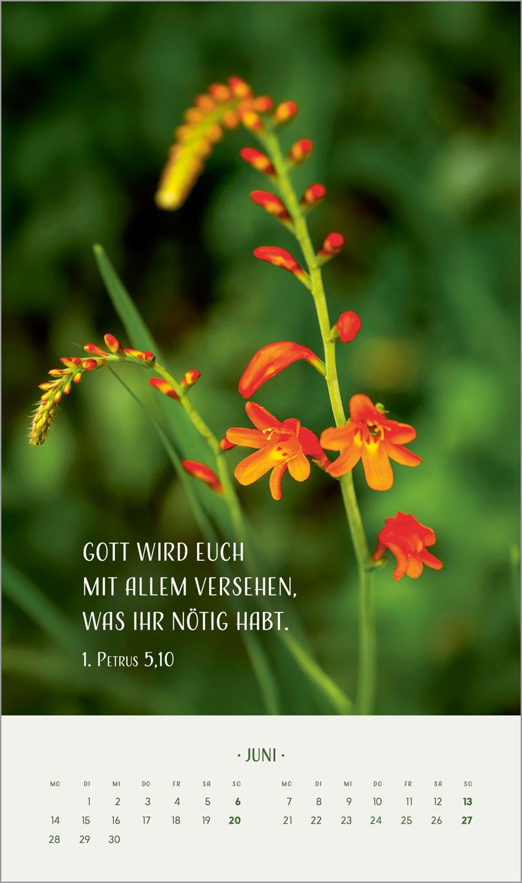 Posterkalender - Zarte Blumengrüße 2027 Posterkalender