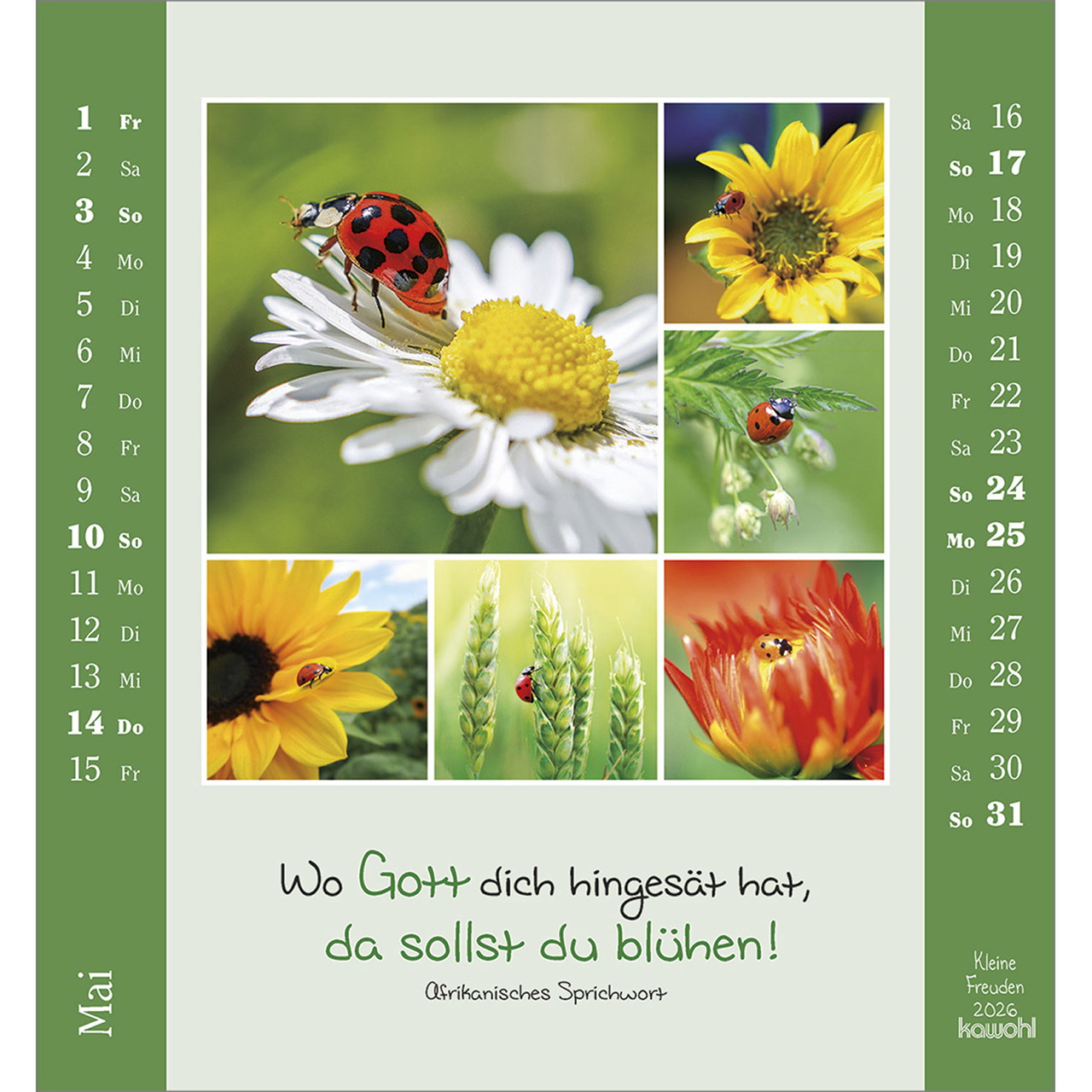 Tischkalender - Kleine Freuden 2026
