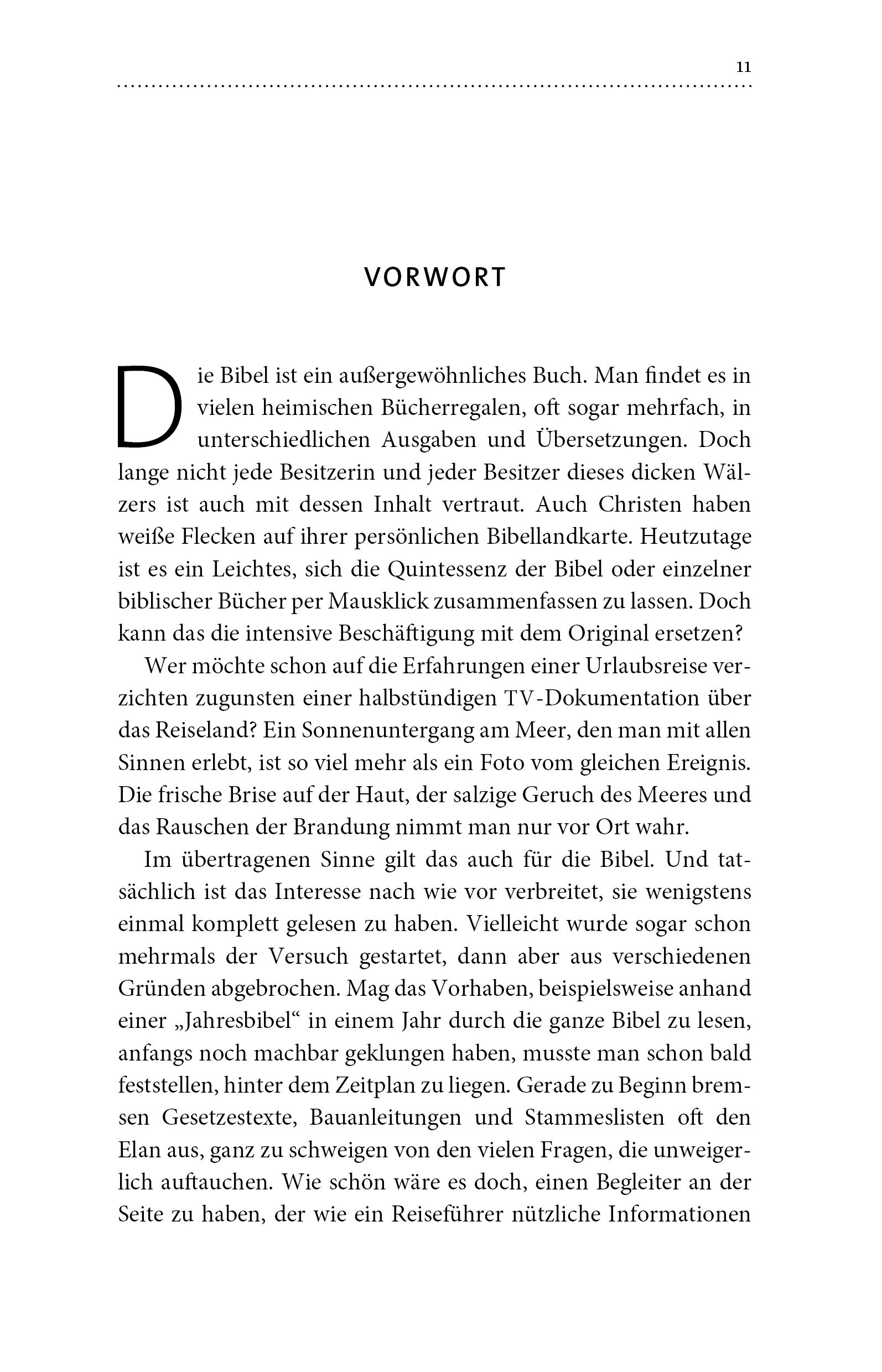 Buch - Die roten Fäden der Bibel entdecken