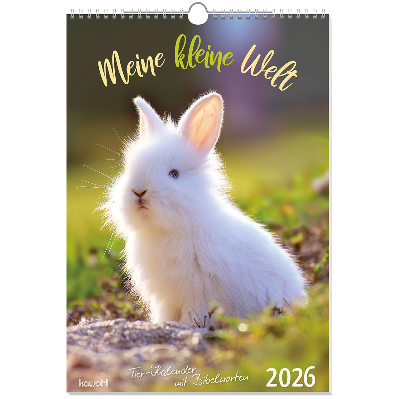 Meine kleine Welt 2026