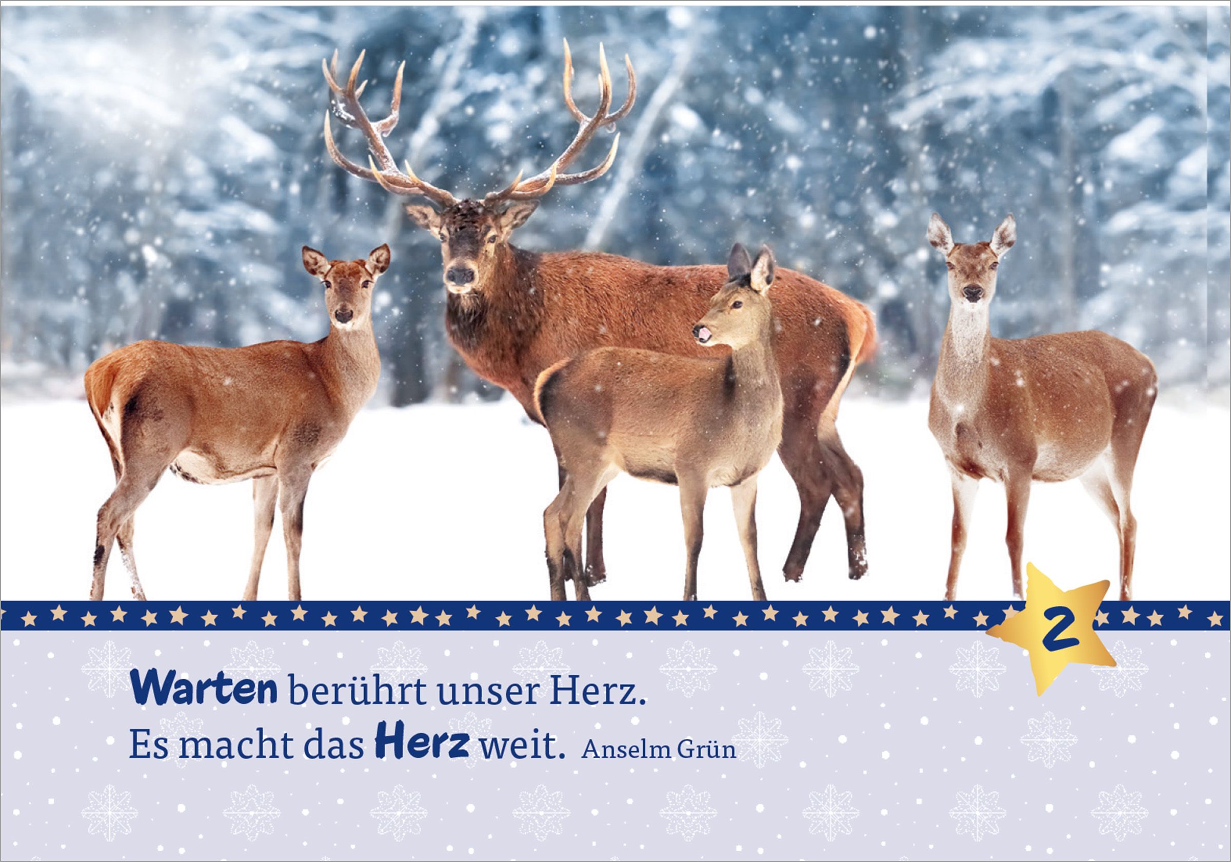 Adventskalender - Hosentaschenadventskalender 2026