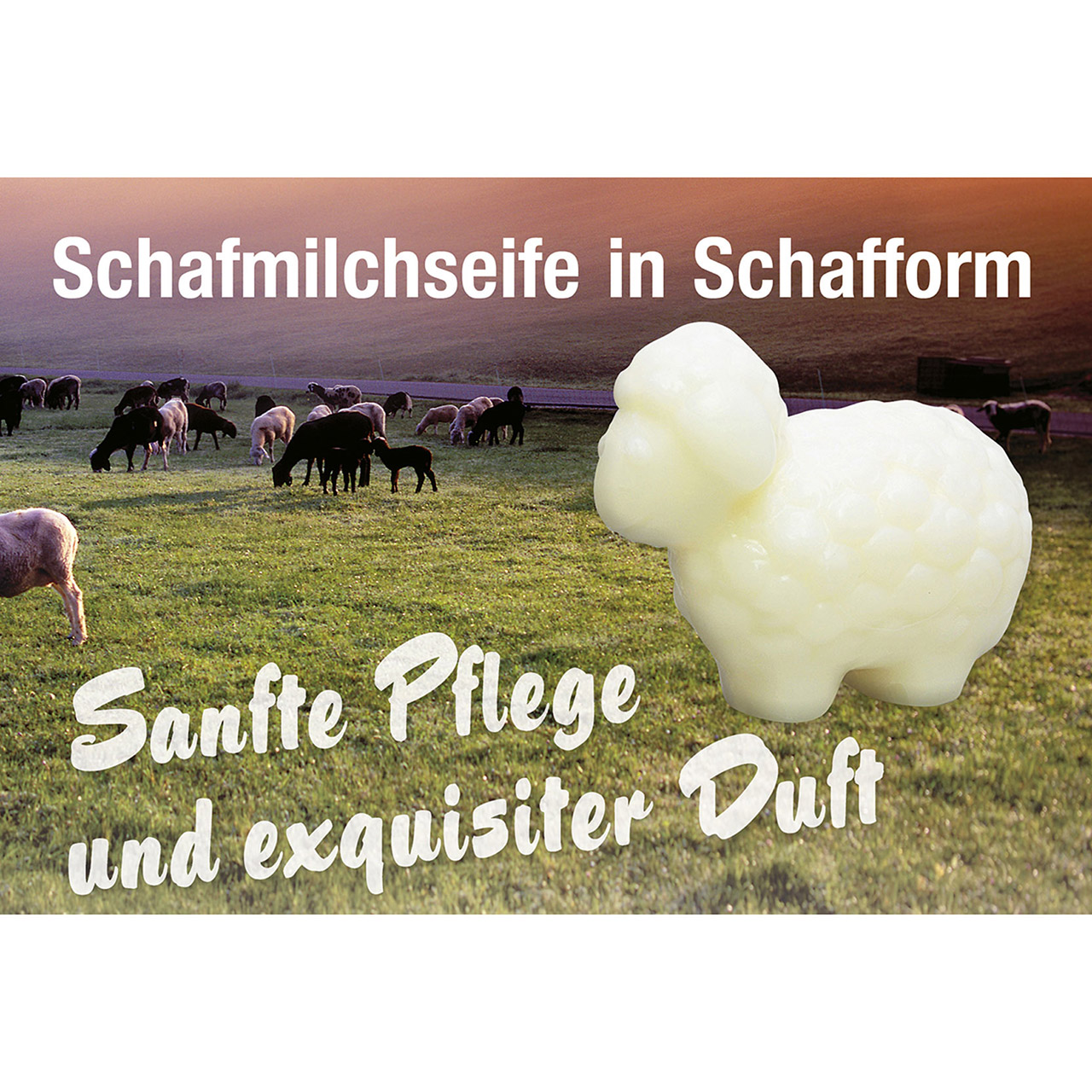 Seife - fest - Der Herr ist mein Hirte - Schaf auf Arm