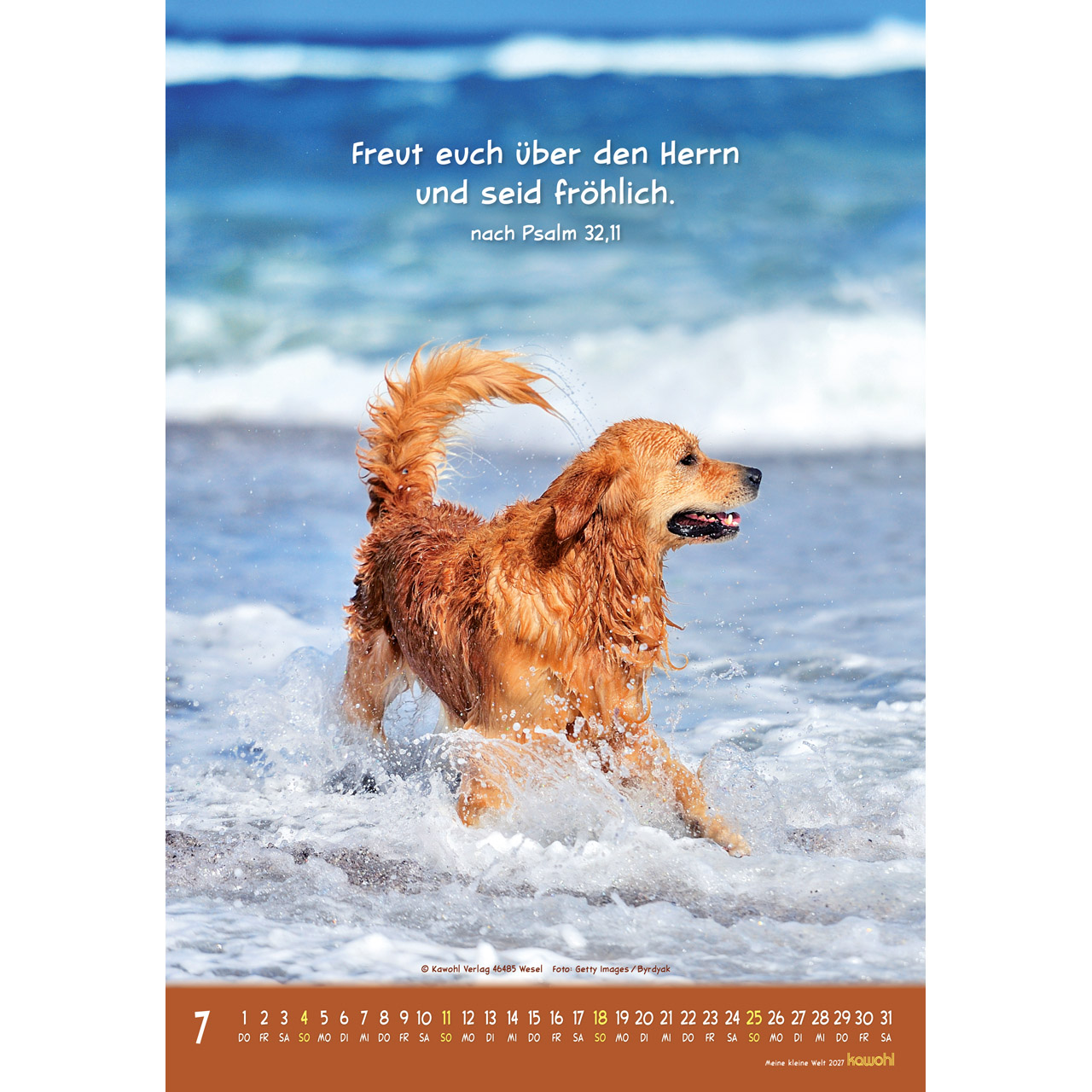 Wandkalender - Meine kleine Welt 2027